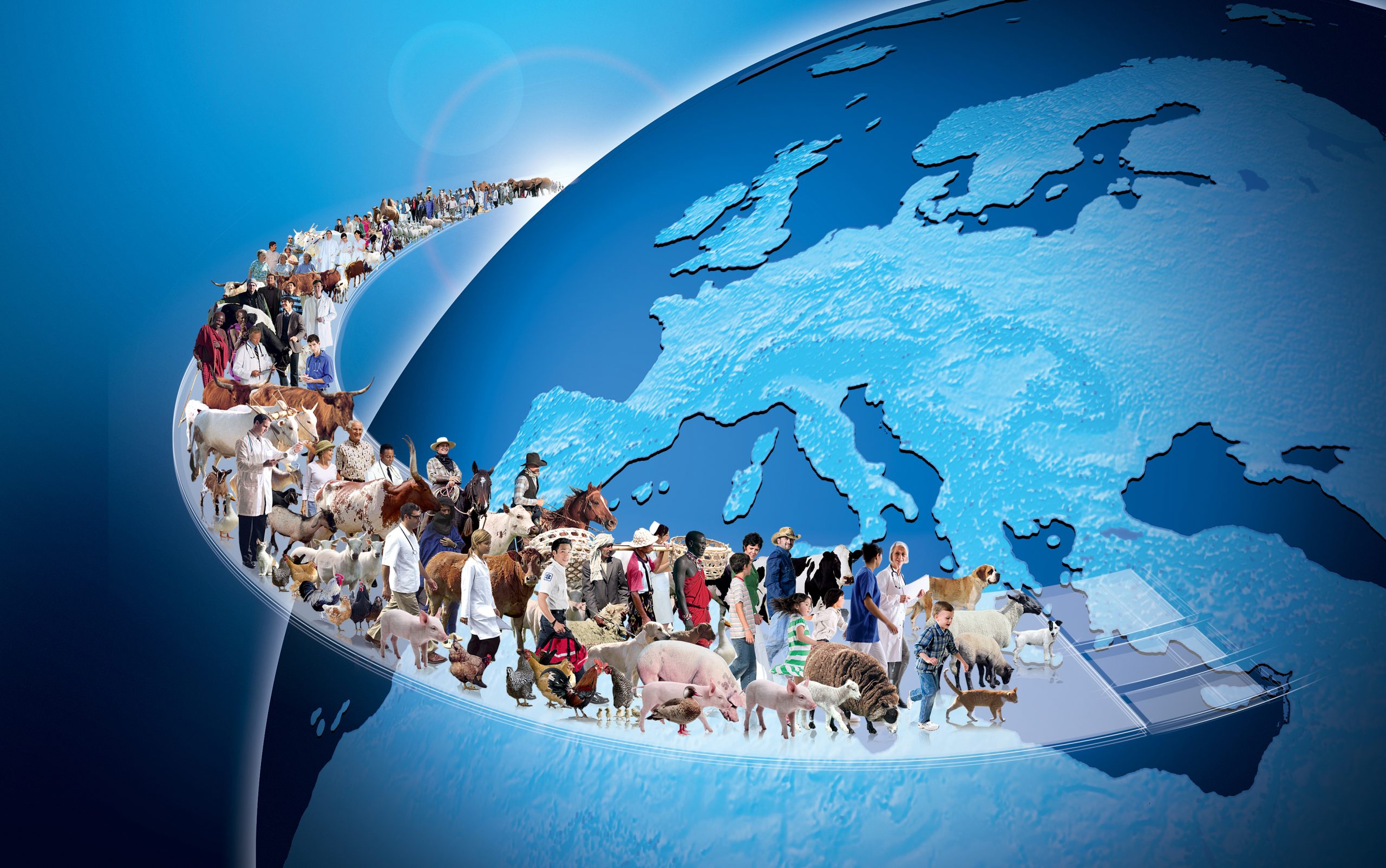 세바코리아 대표 이미지