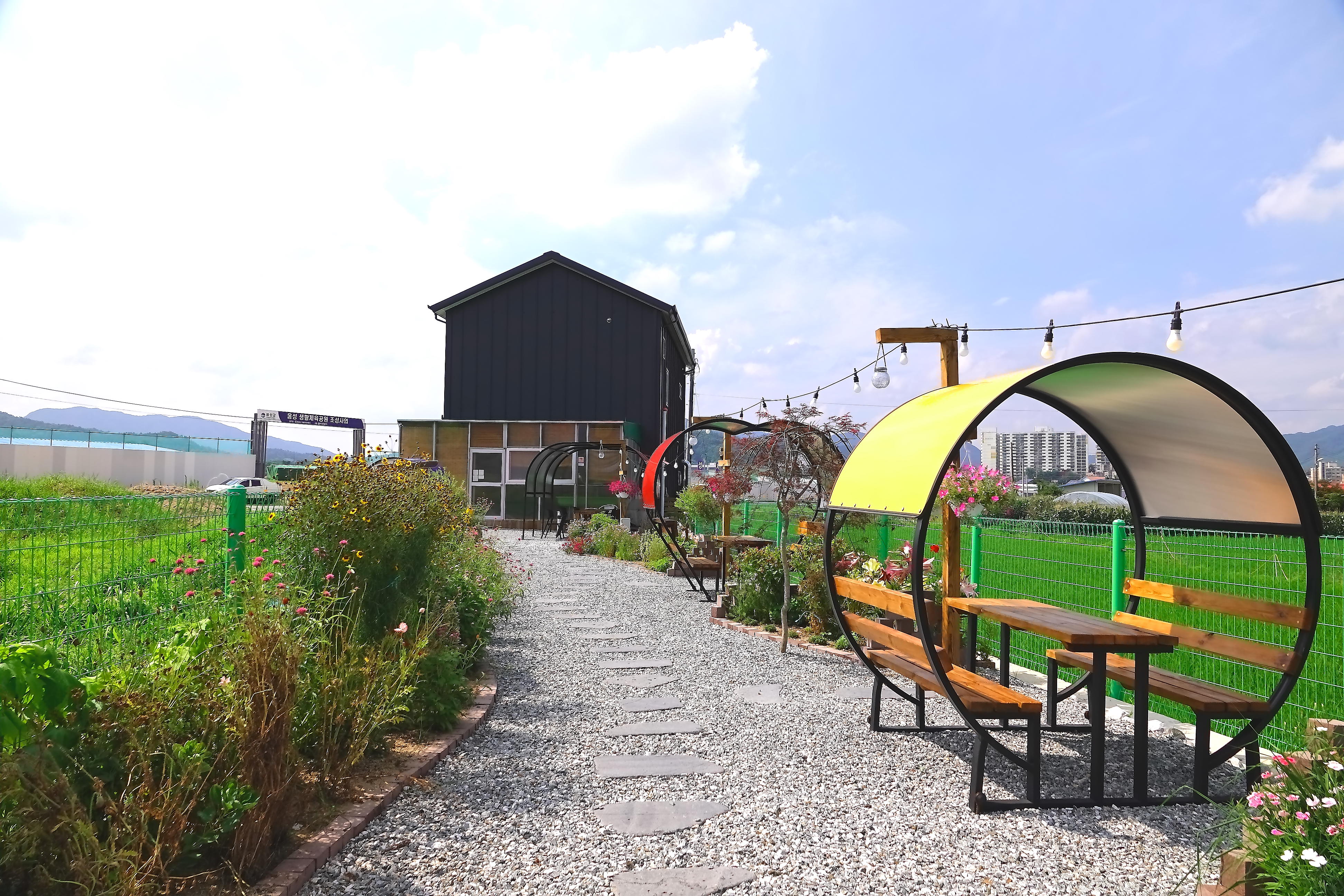 신천도토리새싹요리 대표 이미지