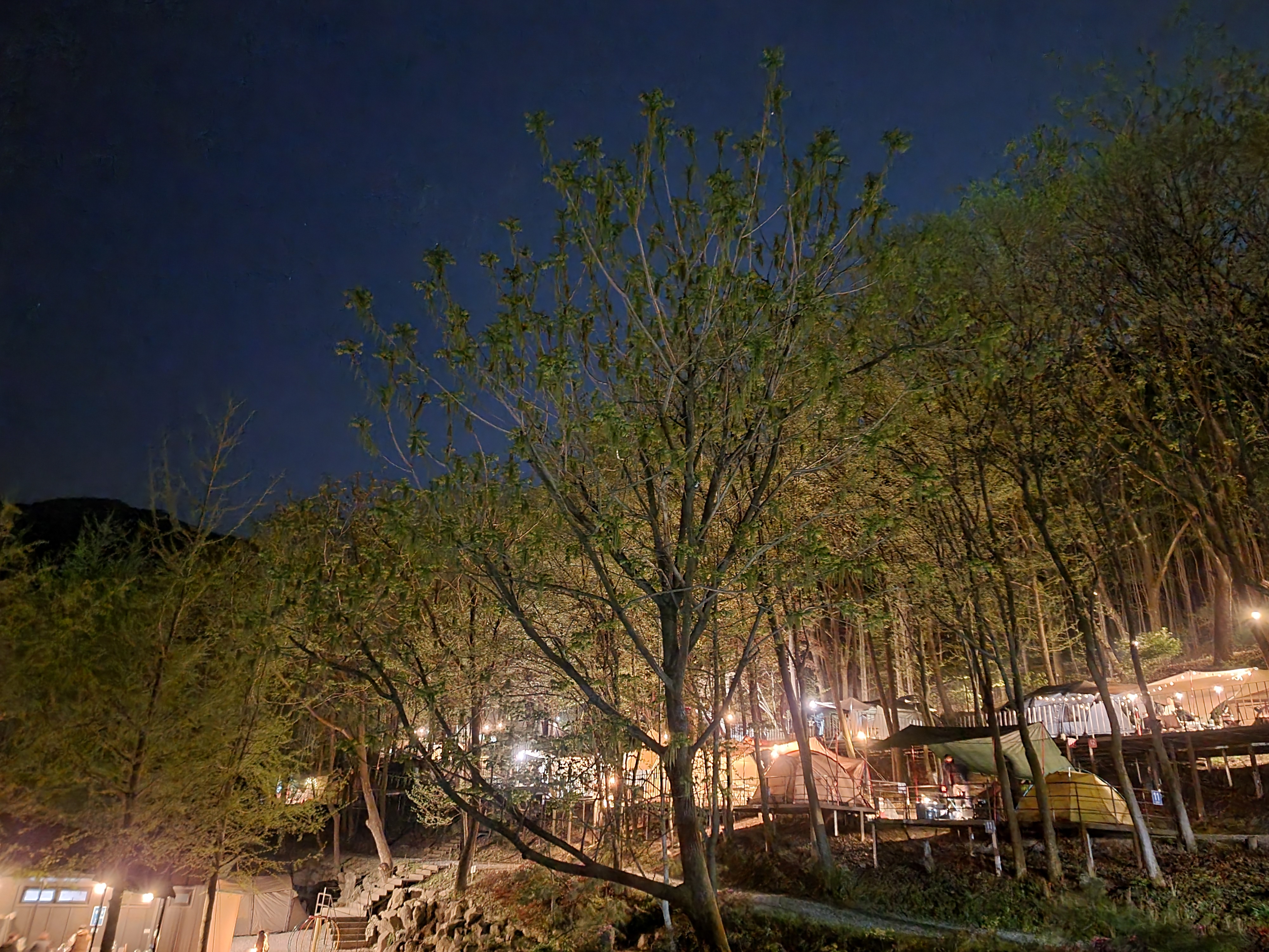 계명산나무숲길캠핑장