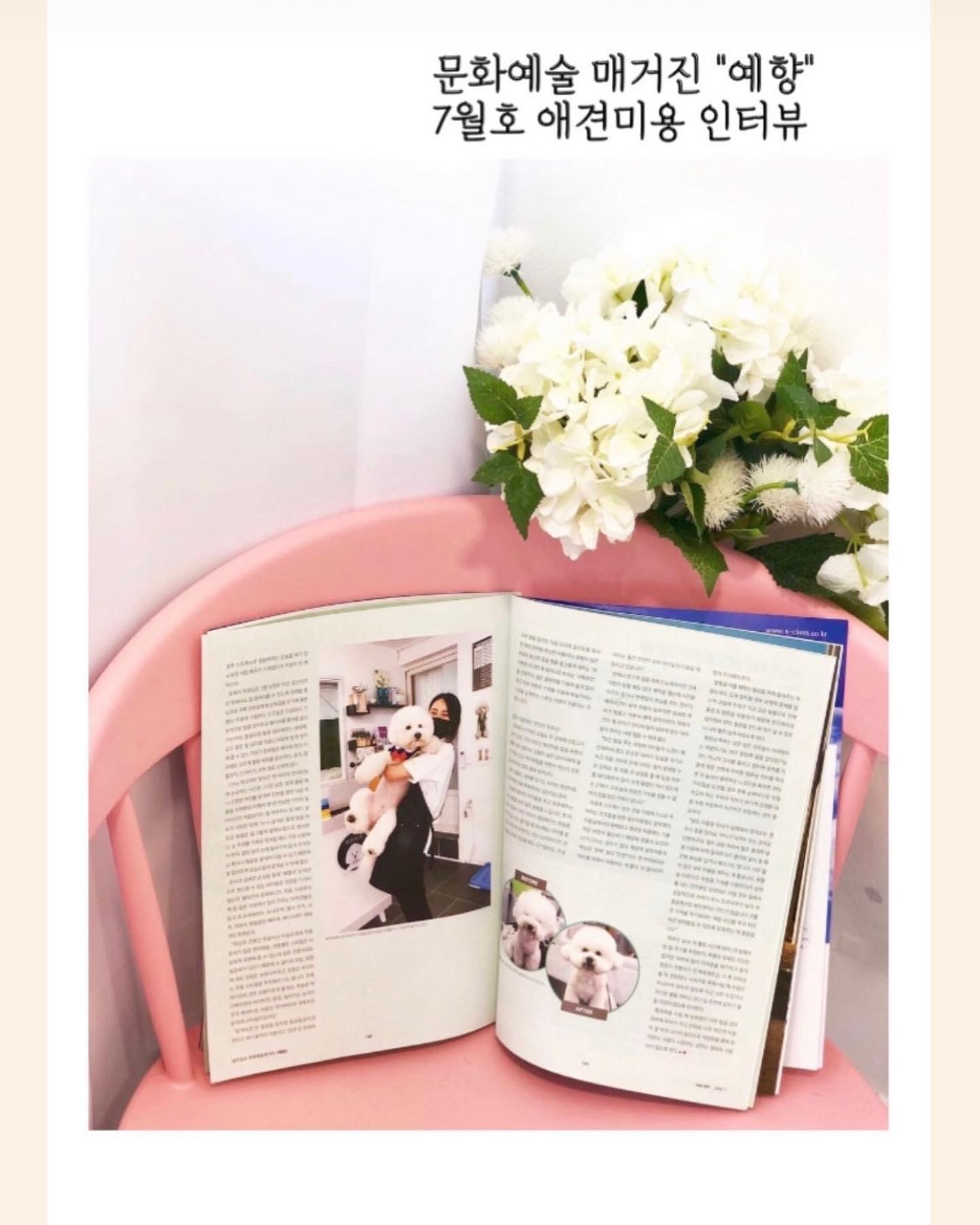 개운하개 대표 이미지