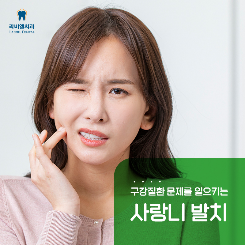 라비엘치과의원 시설