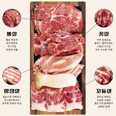 빽돈