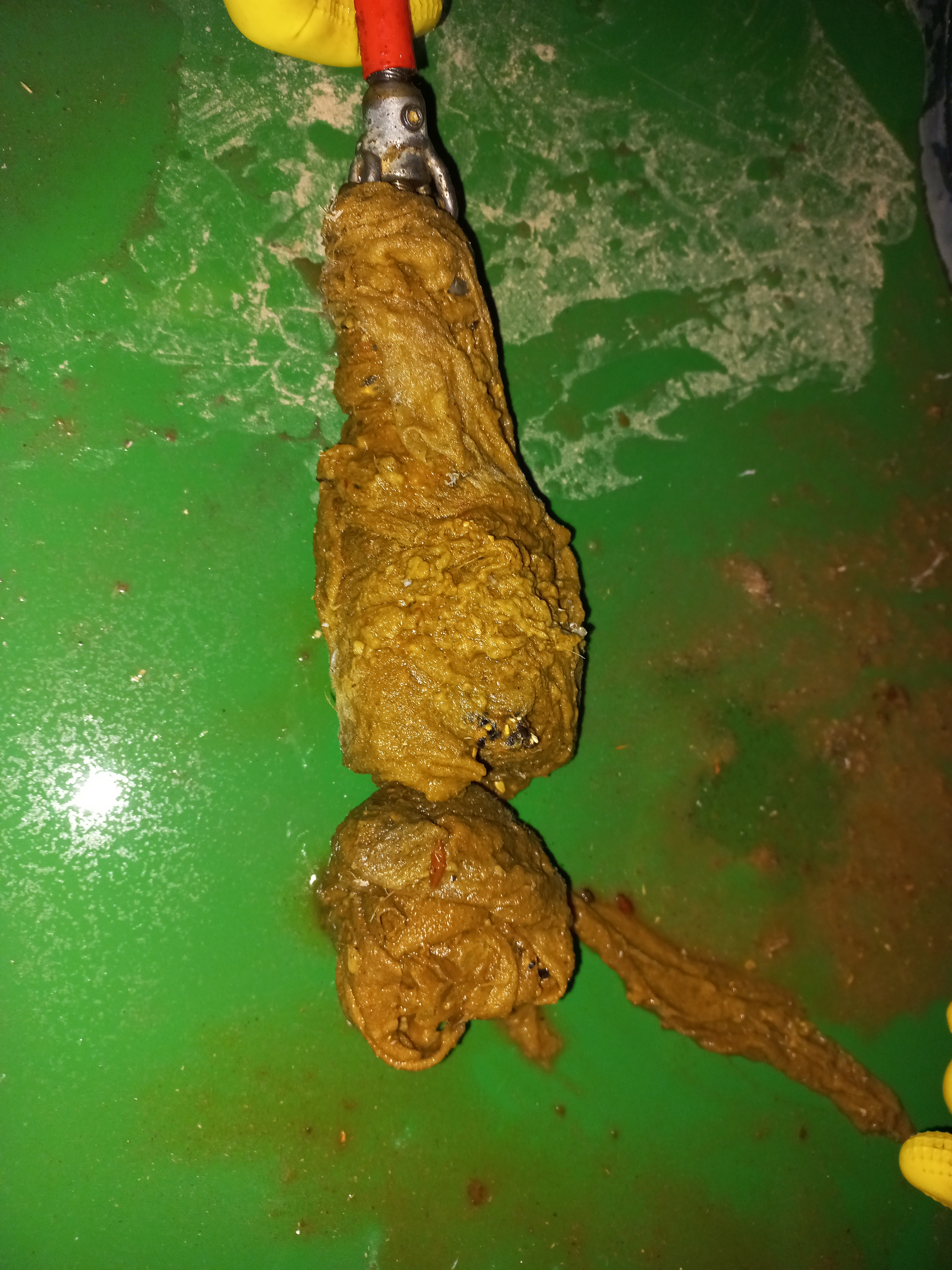 화성 하수구막힘 싱크대막힘 변기막힘 냄새제거
