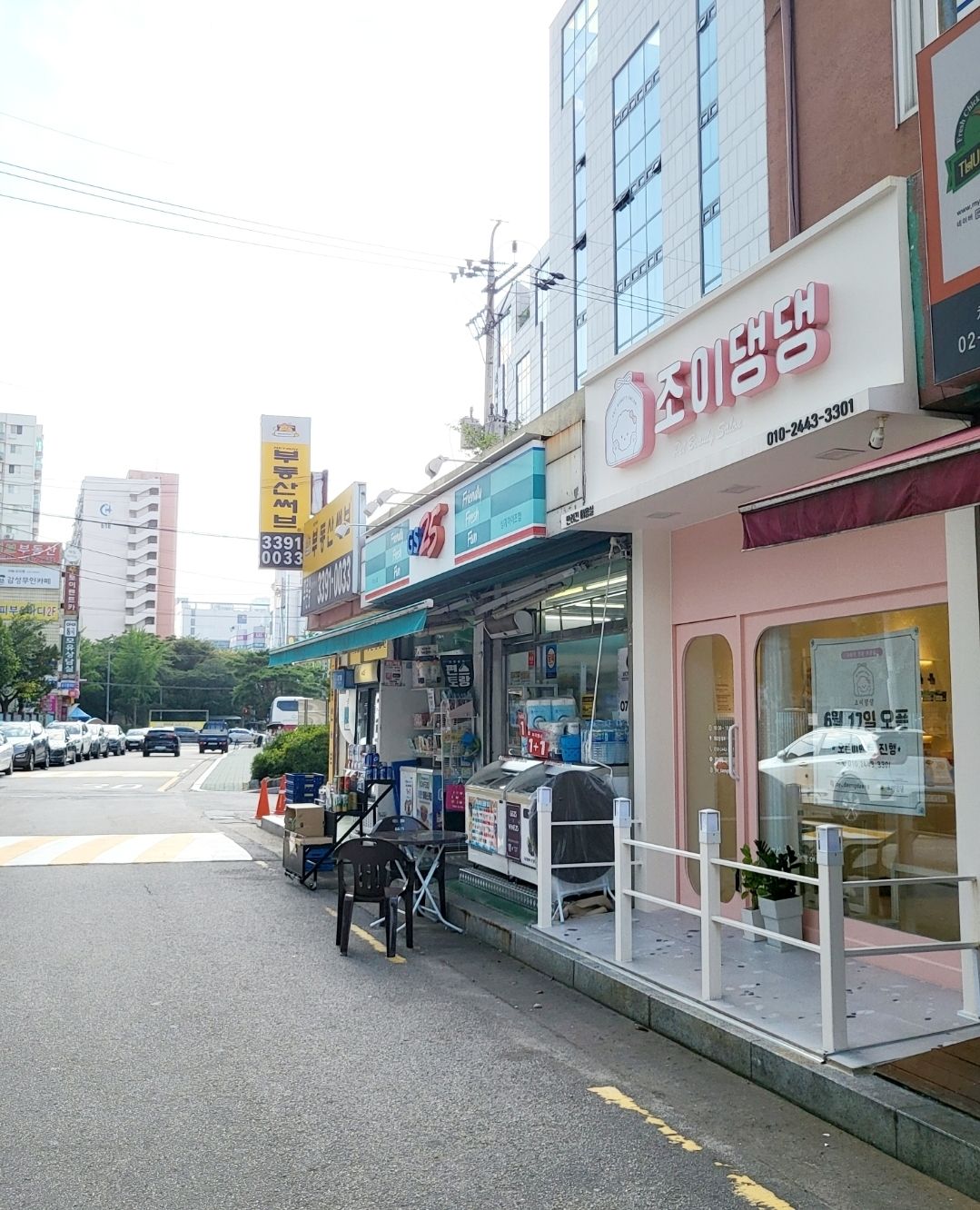 조이댕댕 대표 이미지