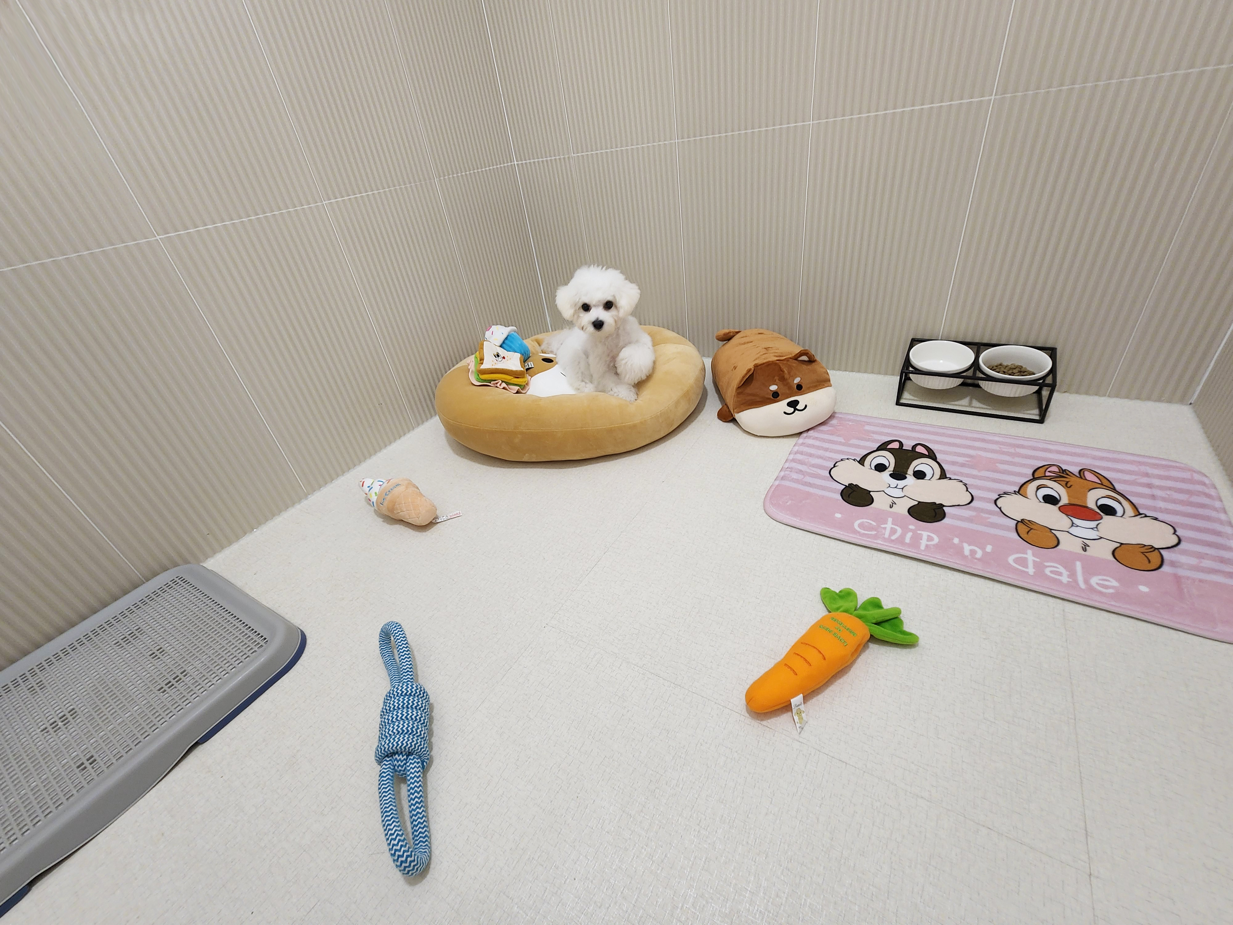 아이조아 요양보호소 대표 이미지