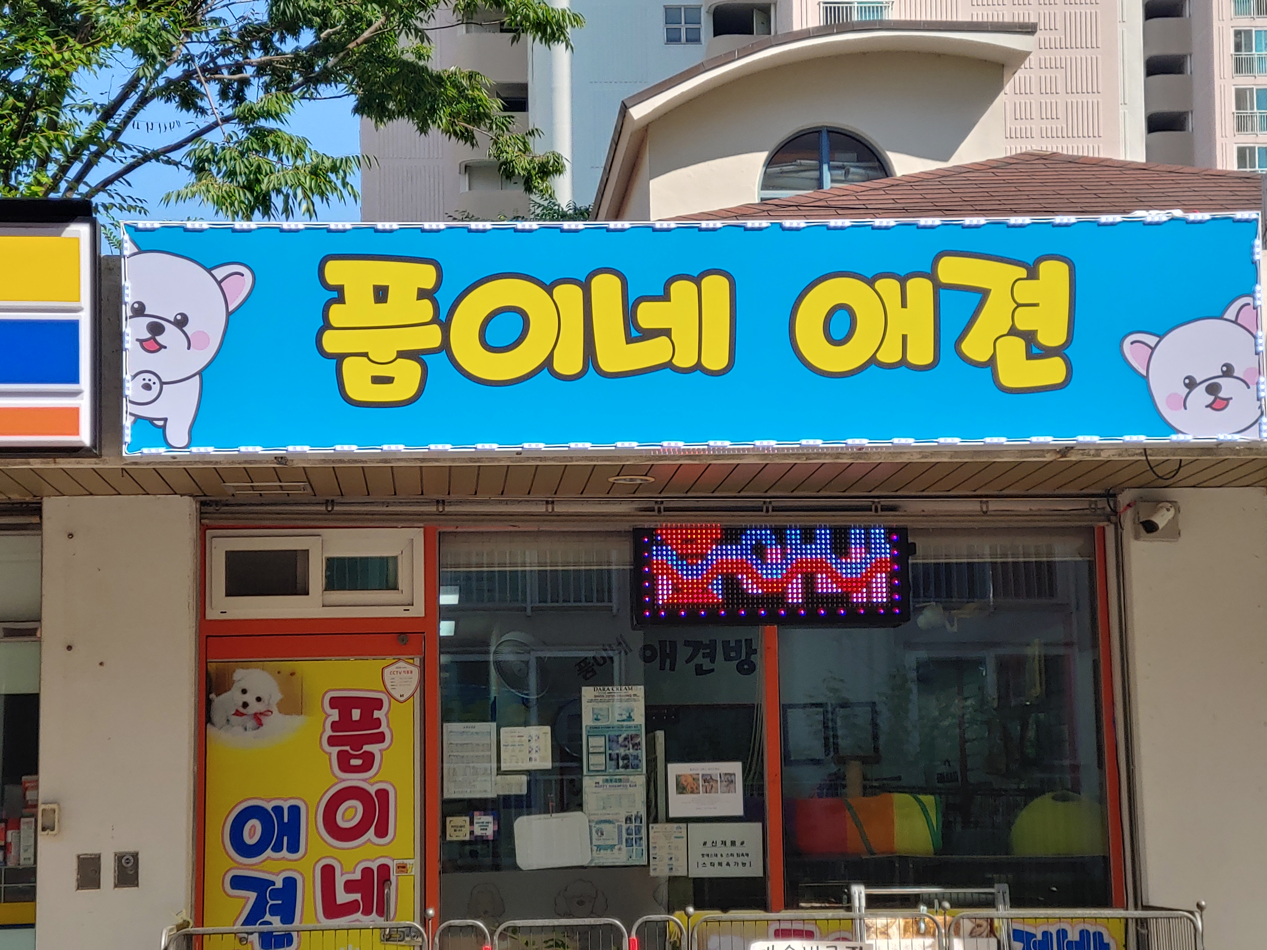 품이네 애견방 대표 이미지