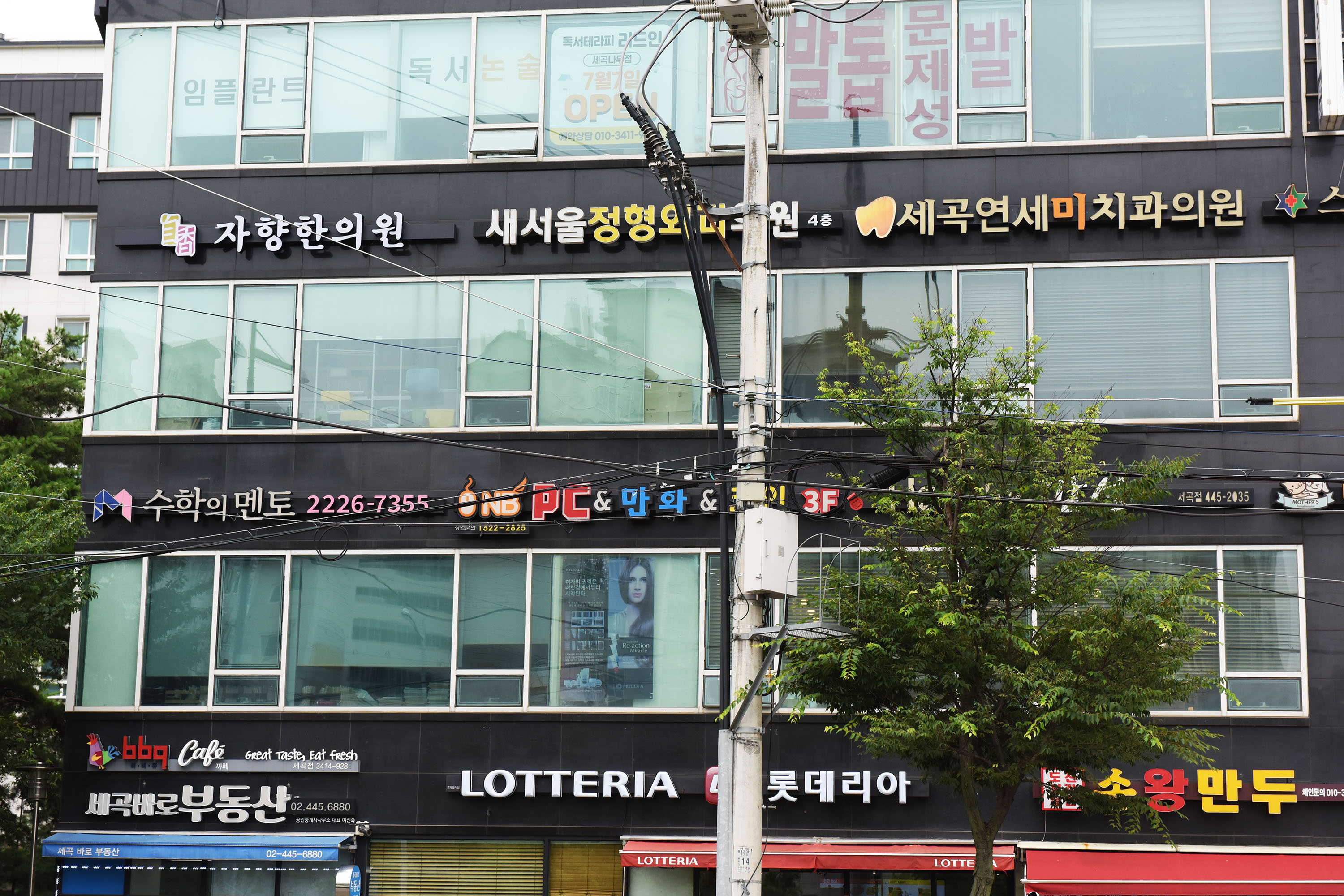 자향한의원 세곡점