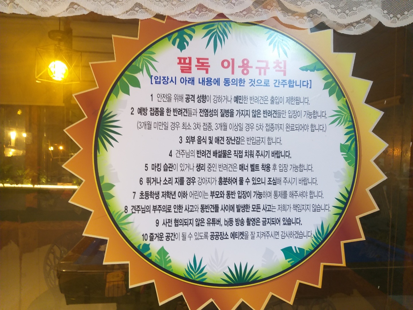 달성보 애견카페 대표 이미지