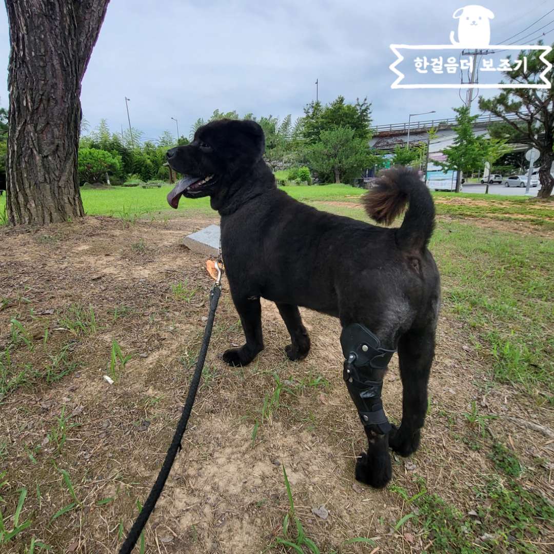 한걸음 더