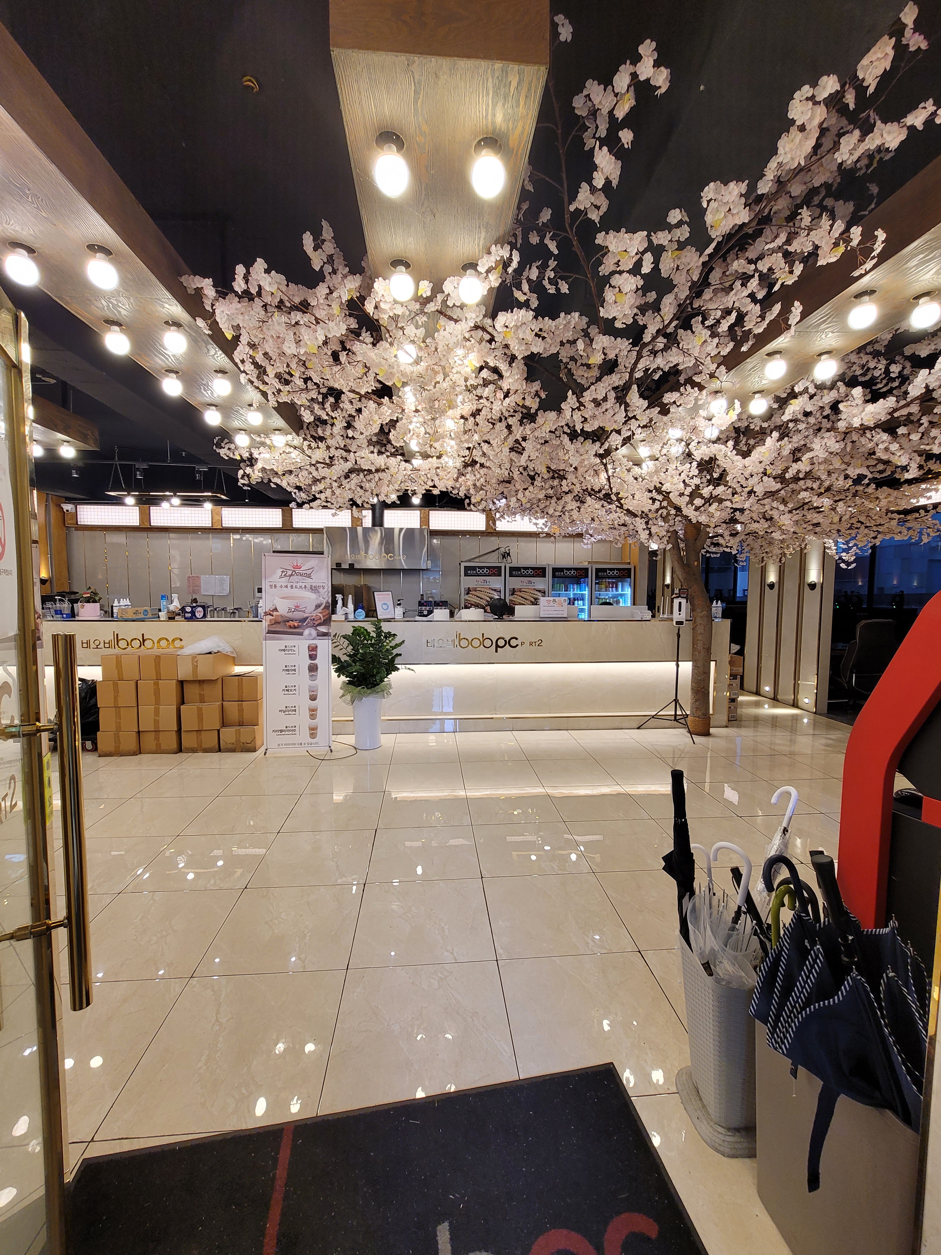 비오비PC팔달점