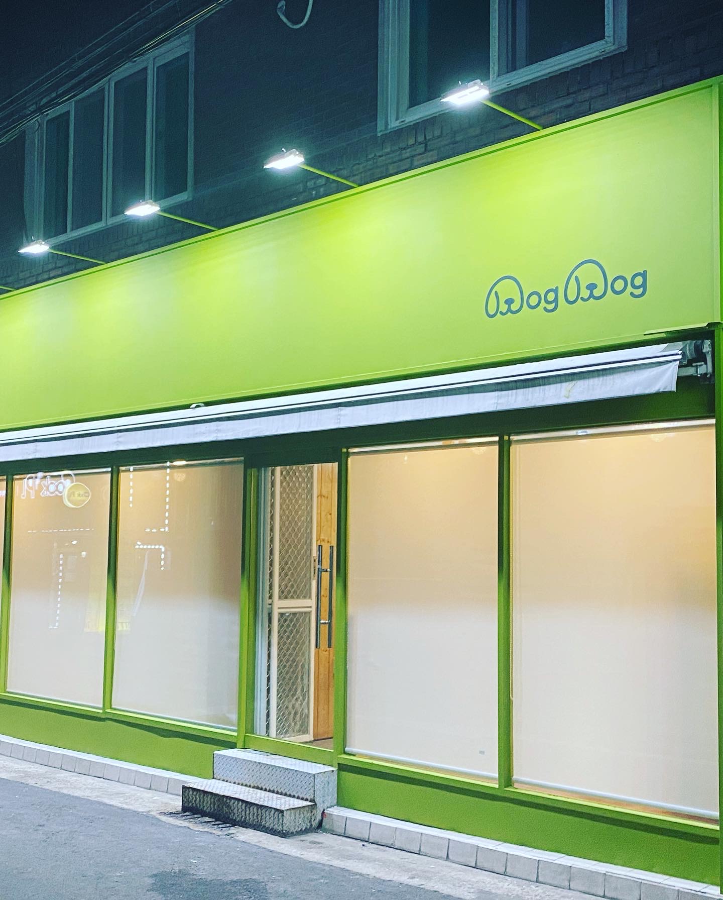 도그도그 대표 이미지