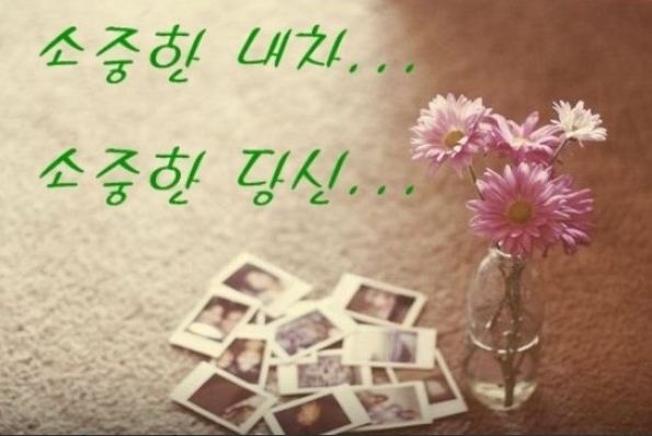 천안중고차매매매입 대표 이미지