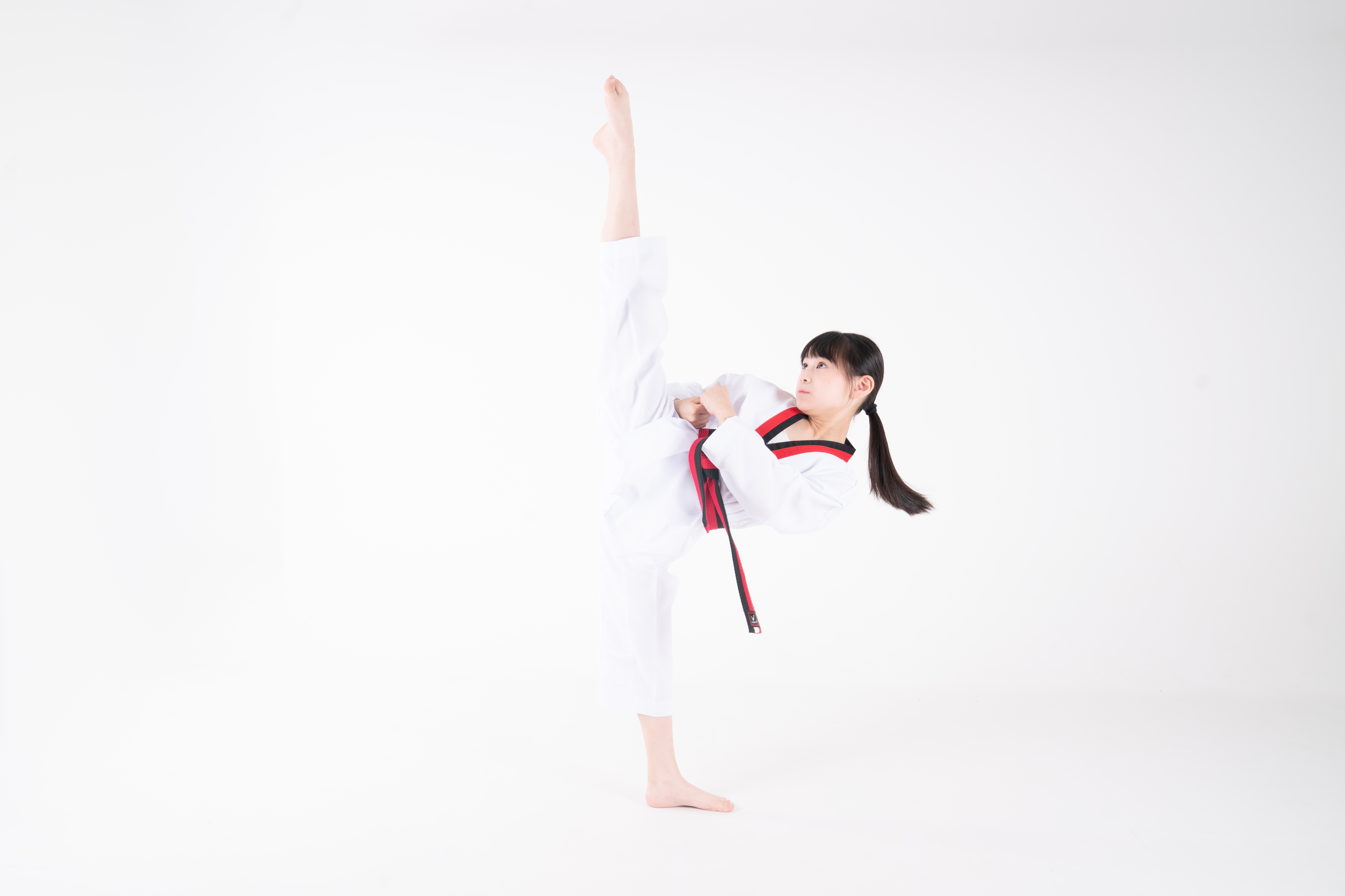 경희대효태권도