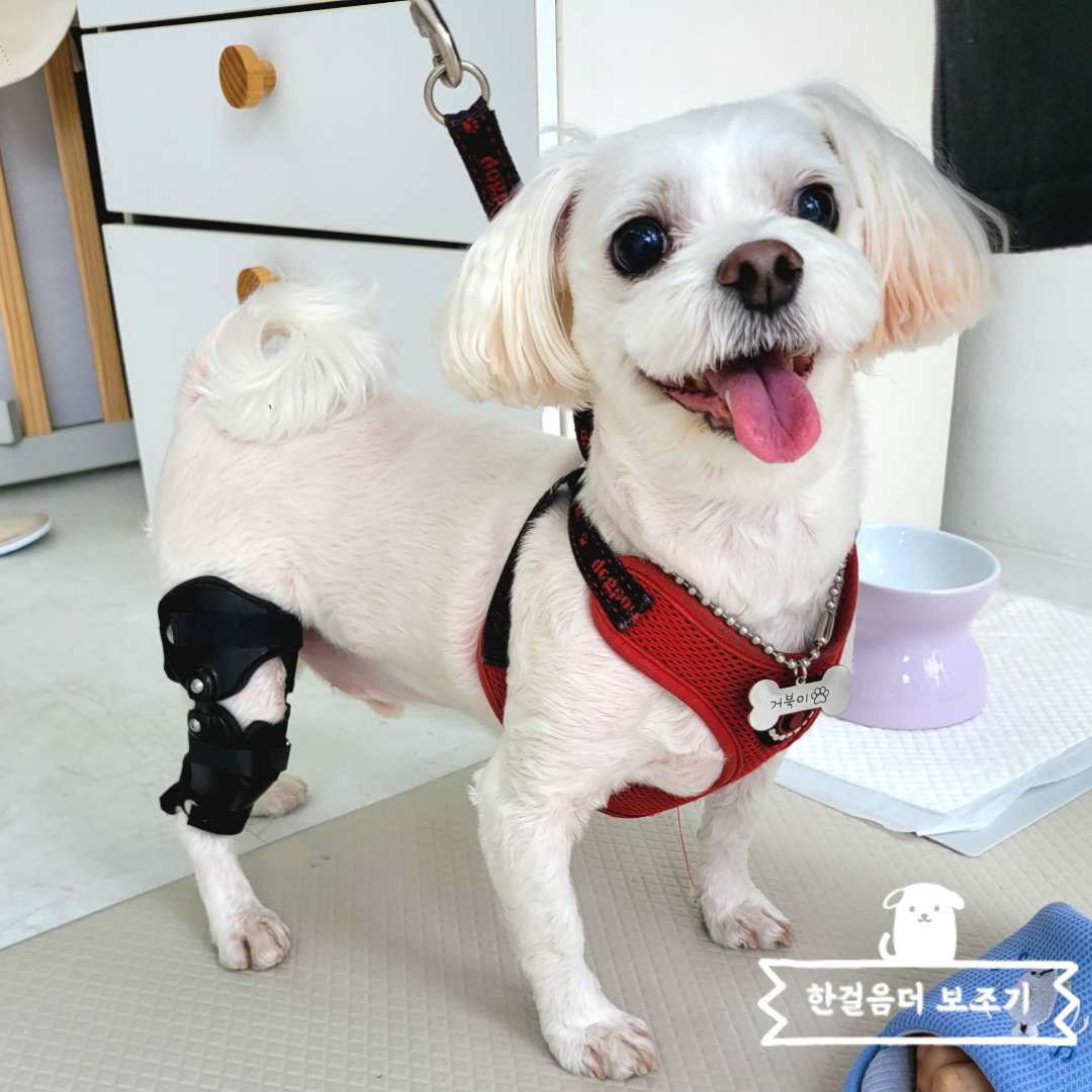한걸음 더