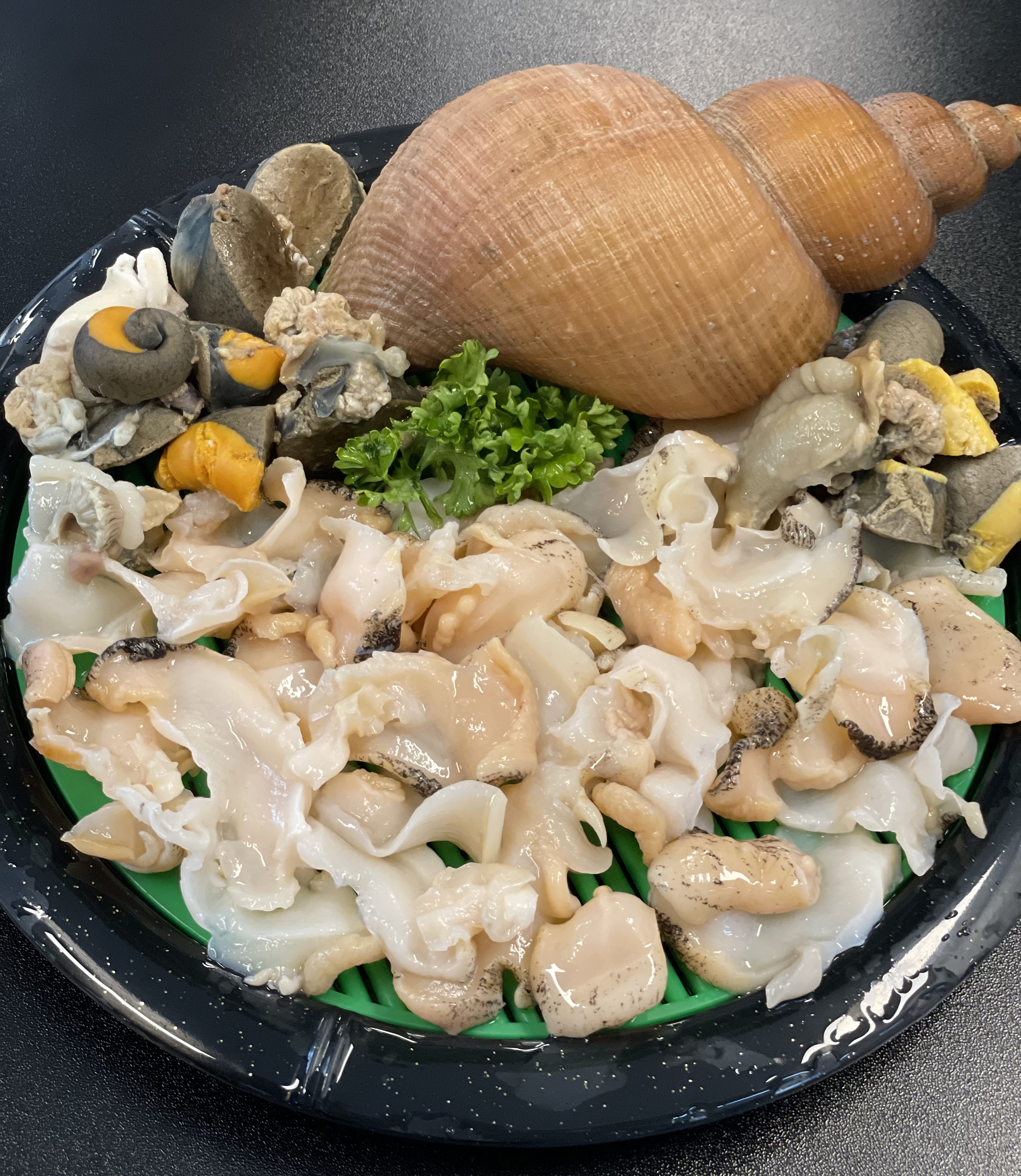 마지하리