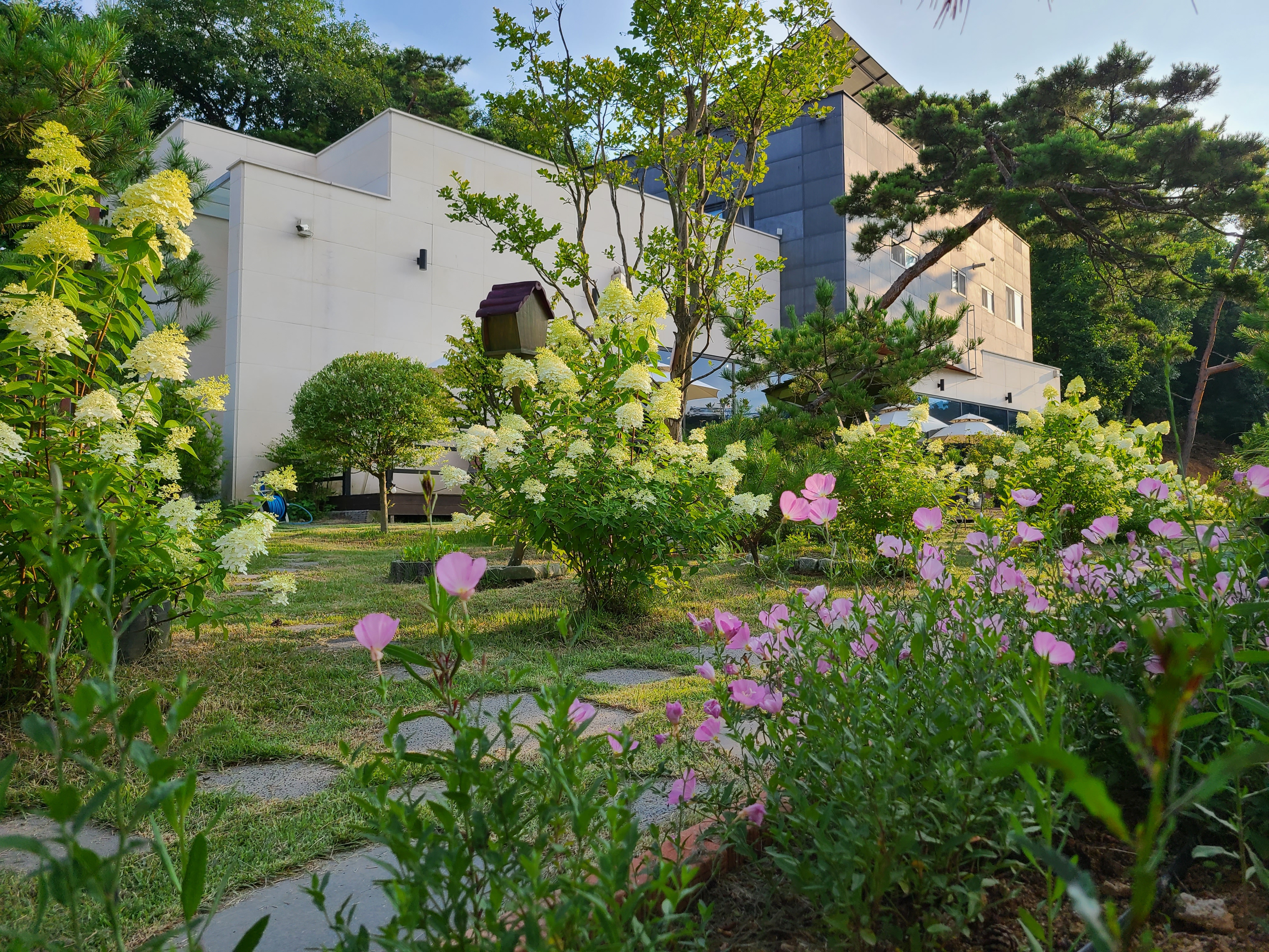 티카페 차희