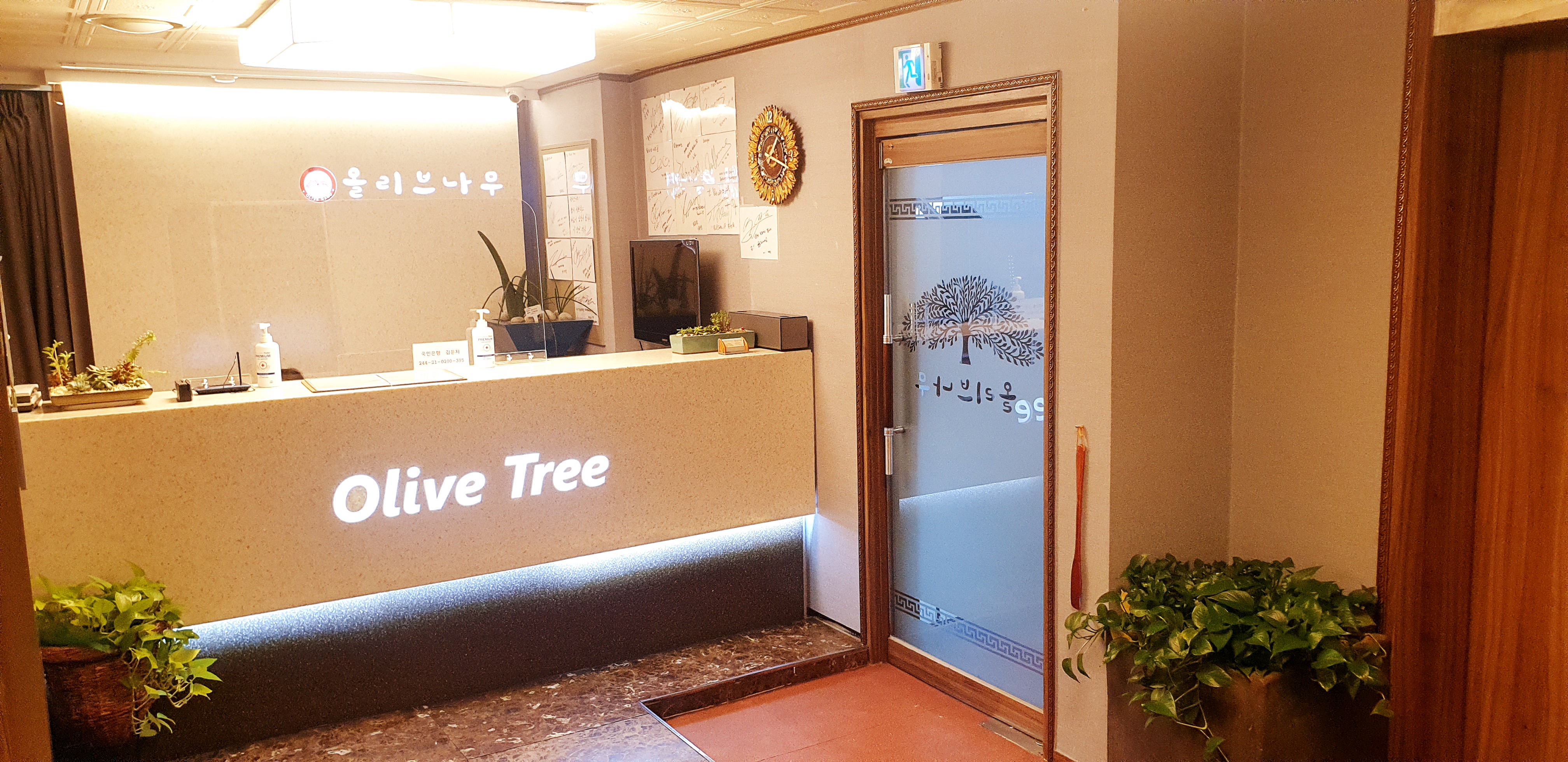 올리브나무 photo 5