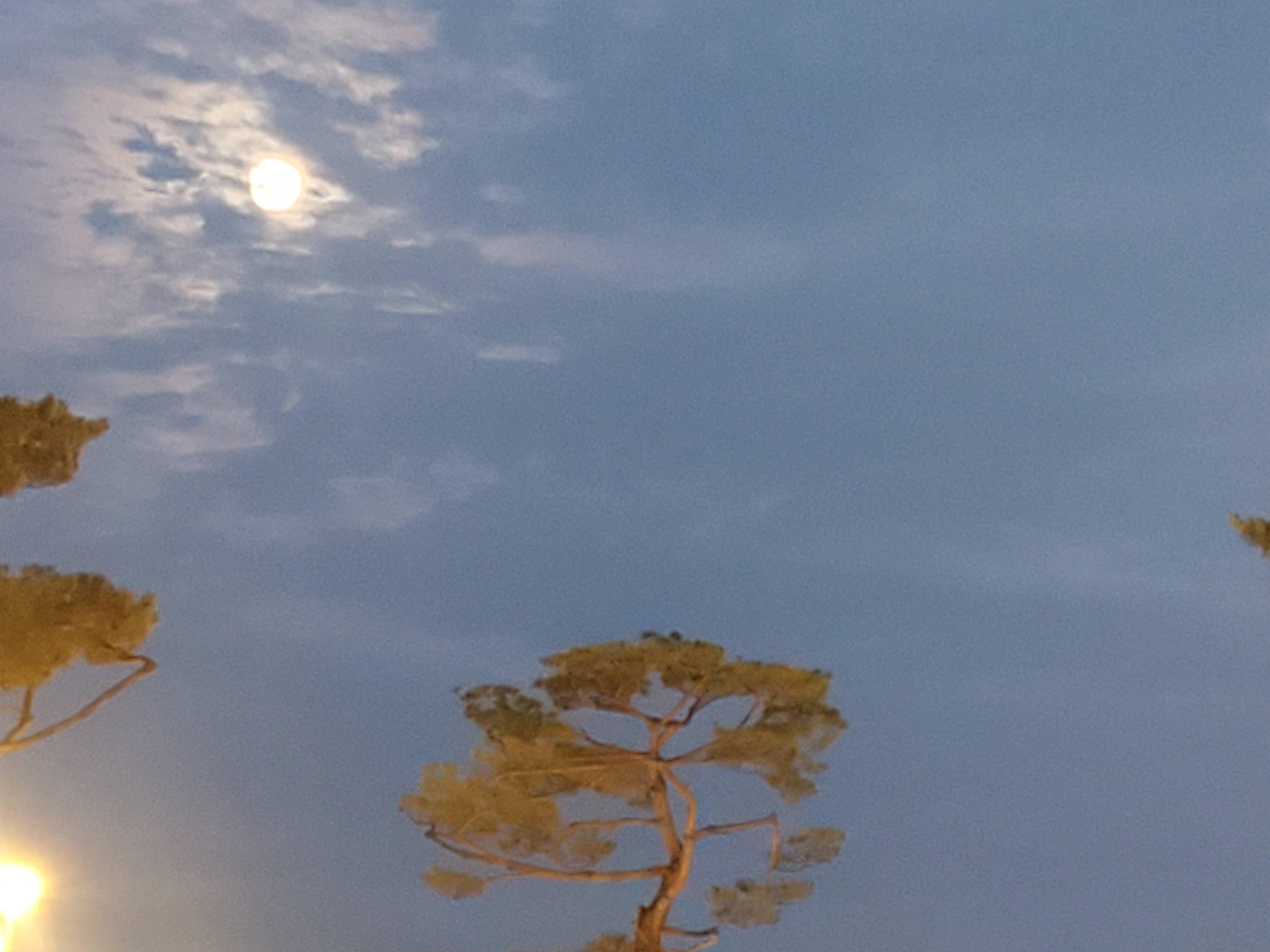 생명 센터 대표 이미지