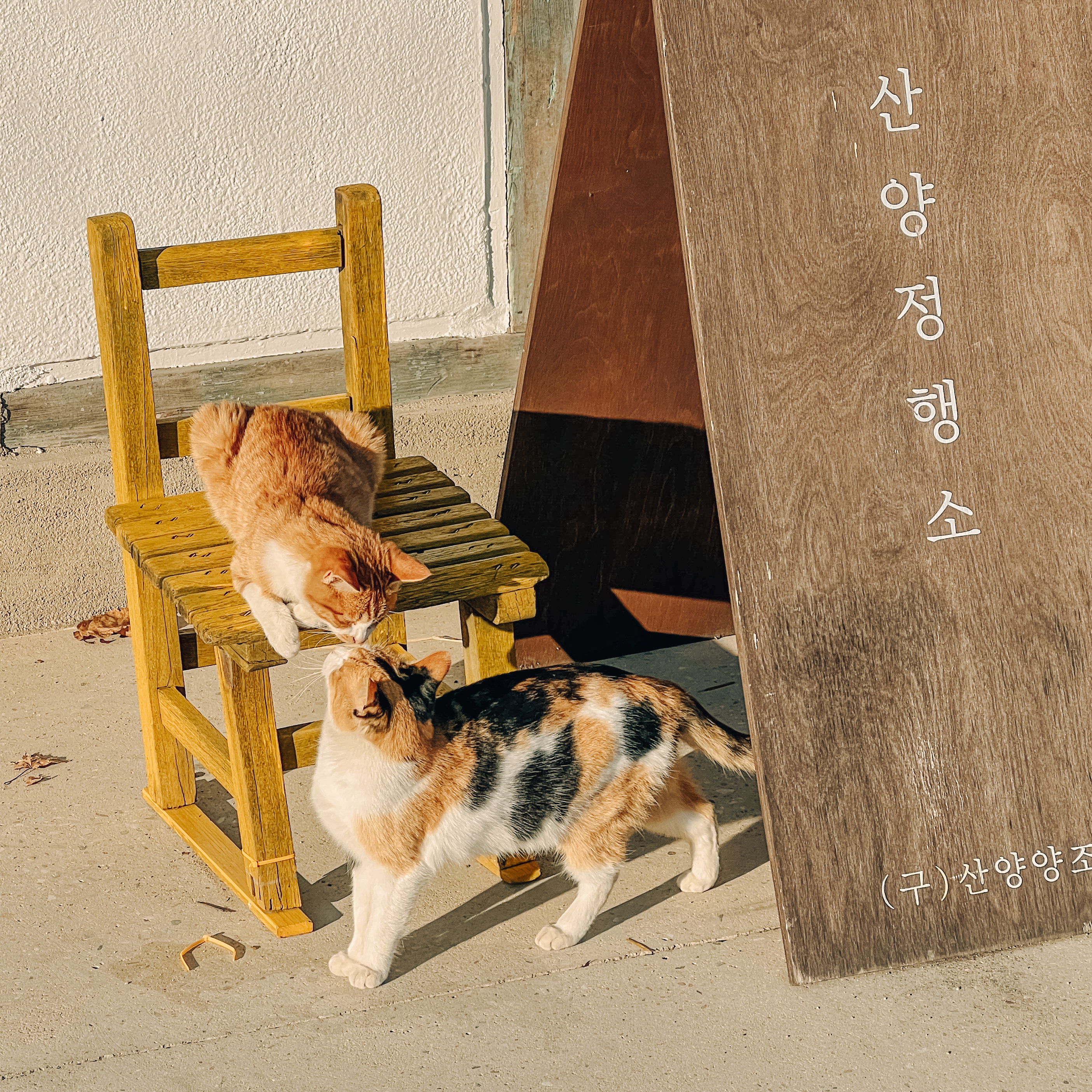 산양정행소 3