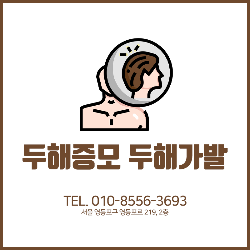 두해증모 두해가발