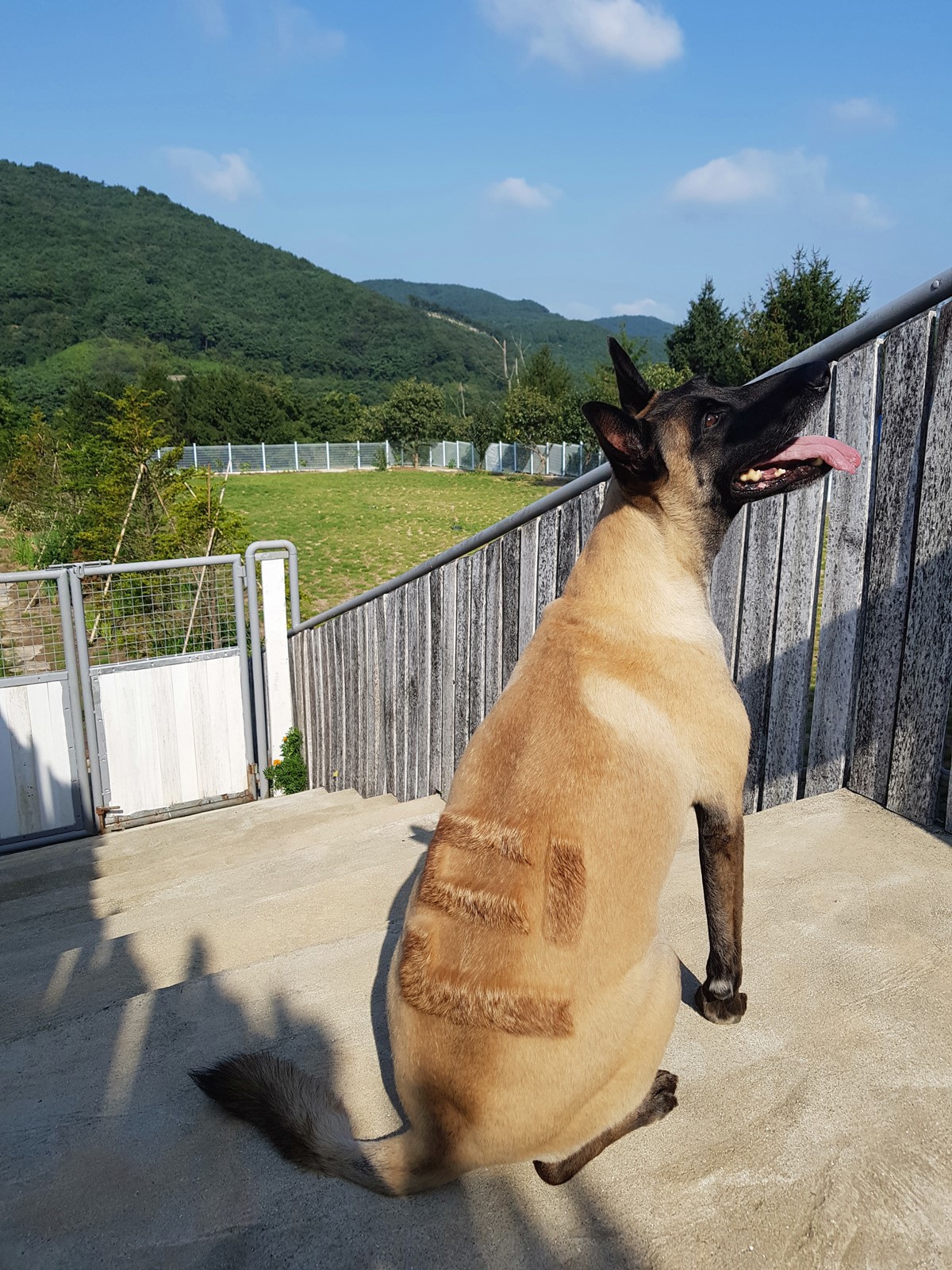 돌꽃펜션 3