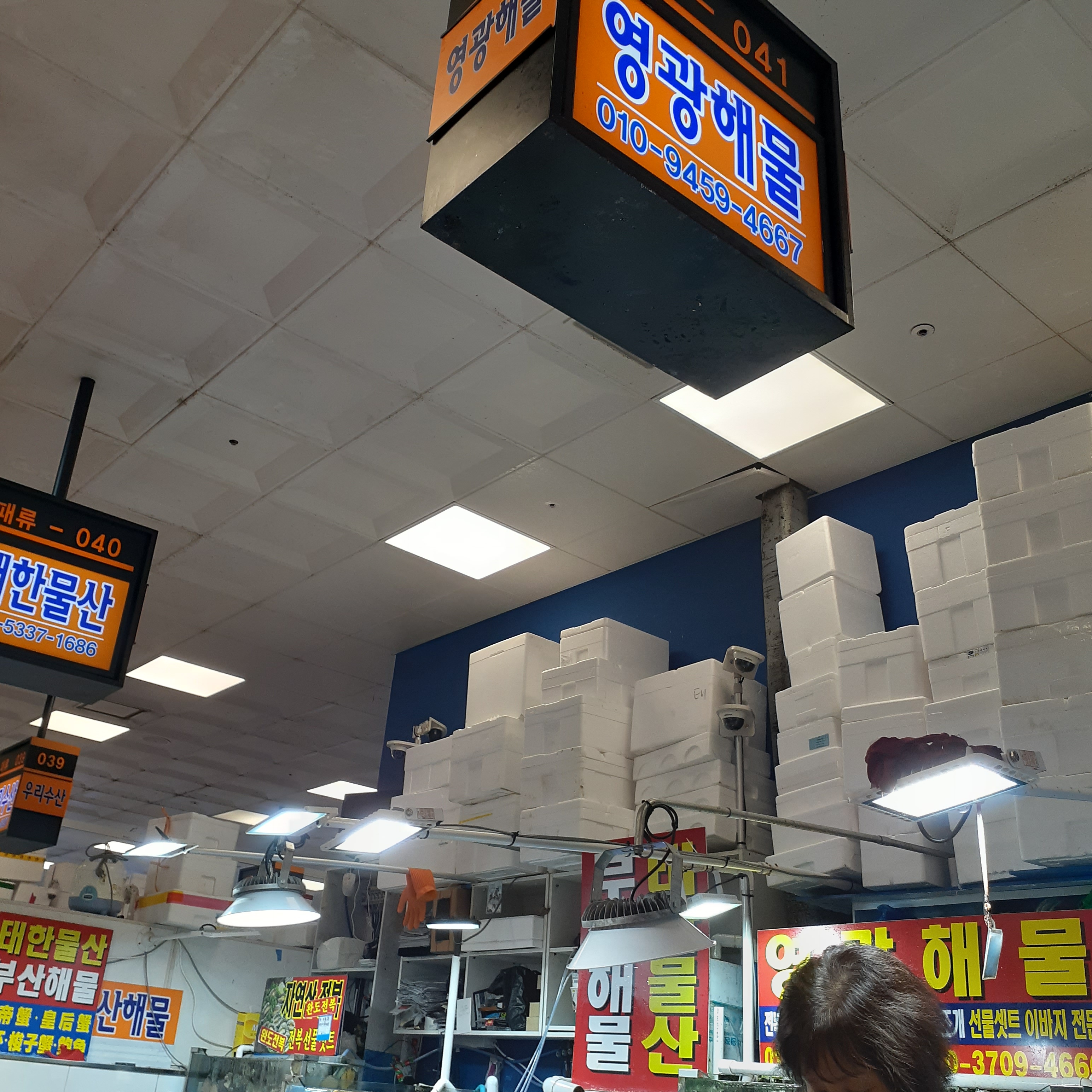 영광해물2