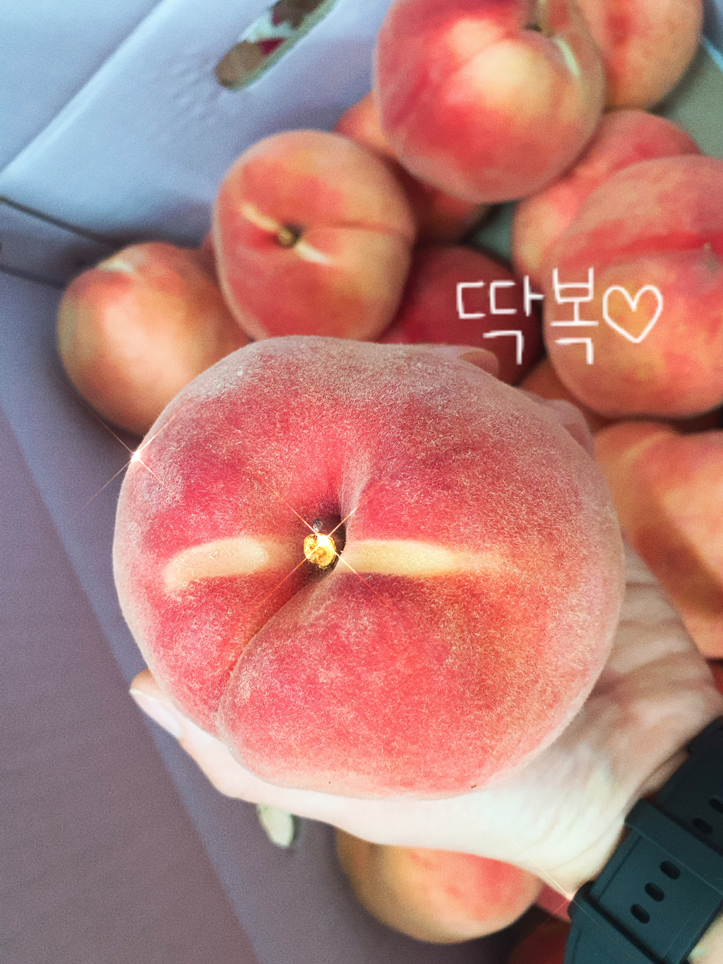 참사과봉숙이네