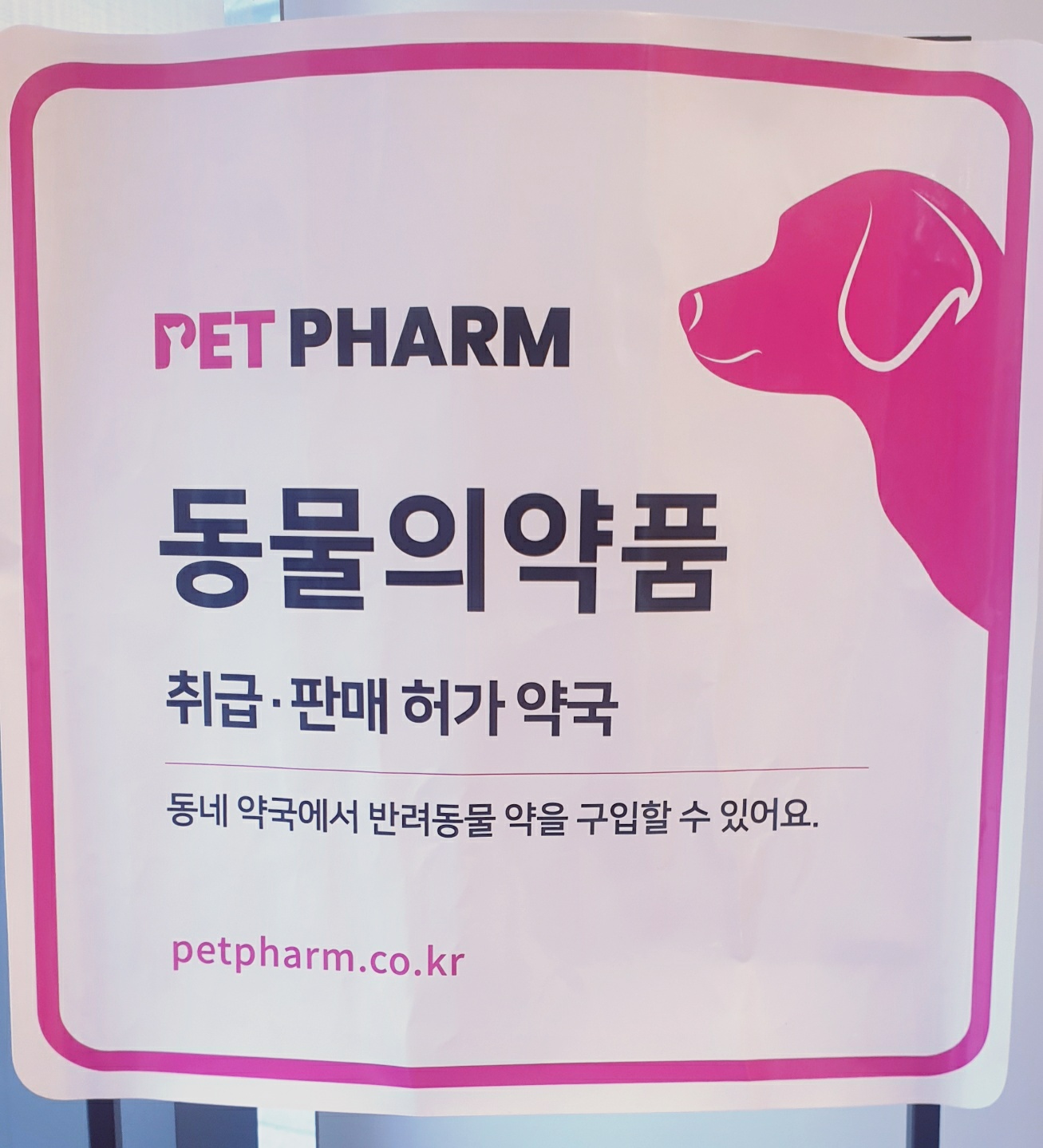 릴리약국 대표 이미지