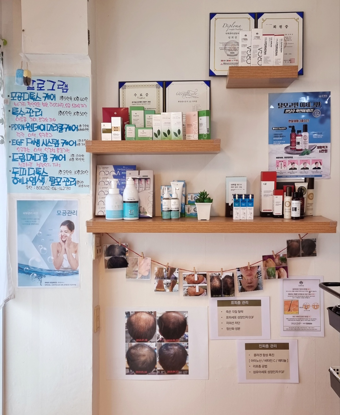 올가스킨 대표 이미지