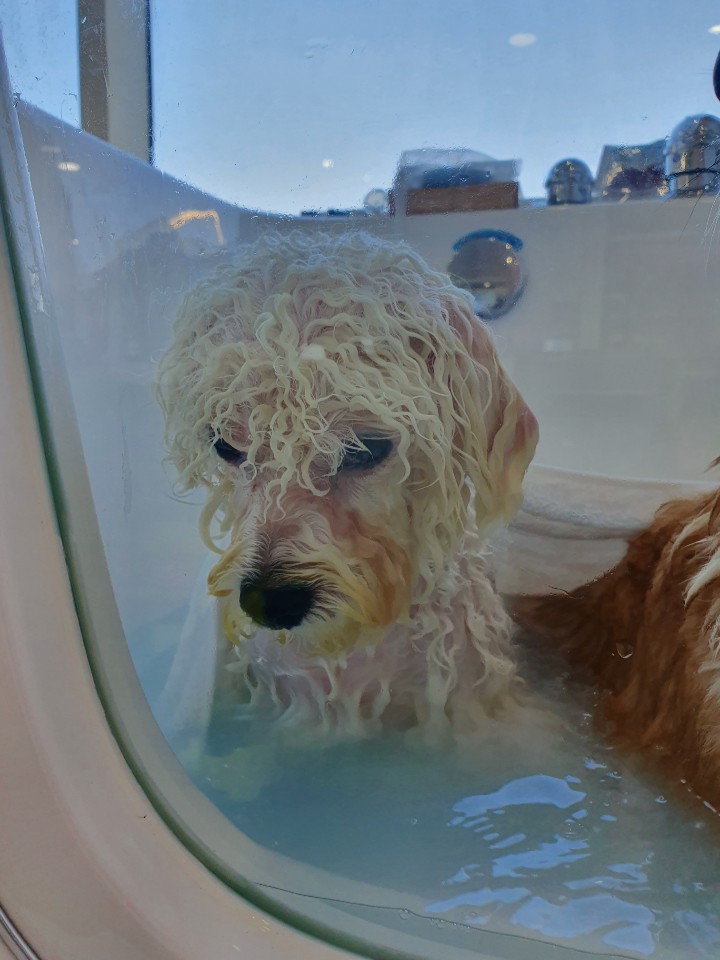 구르미살롱 대표 이미지