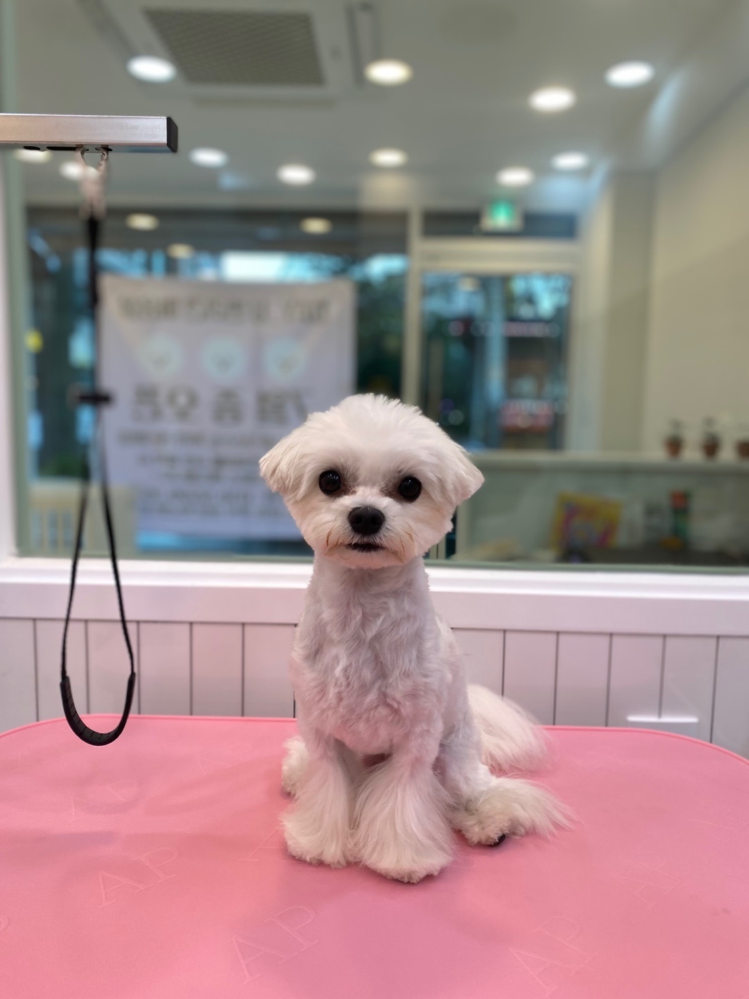 Day u 대표 이미지