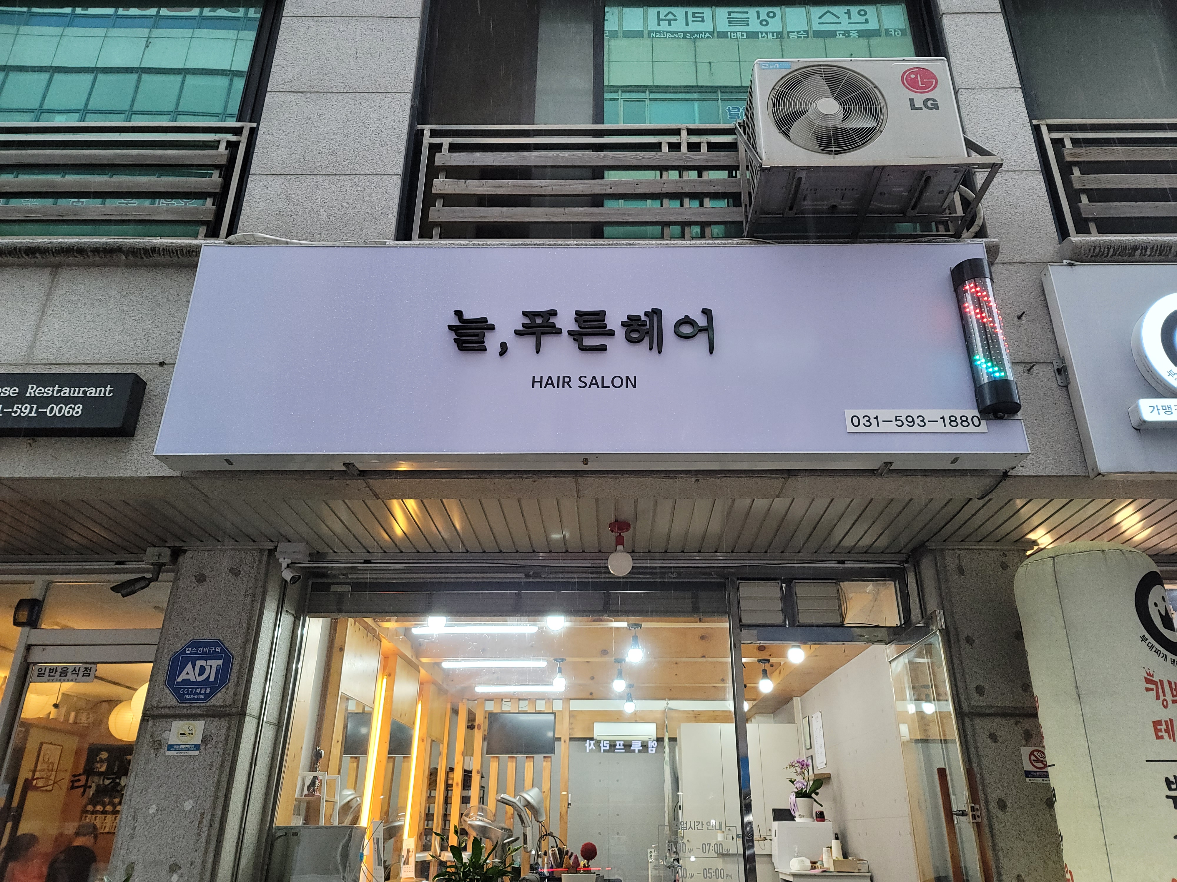 늘,푸른헤어