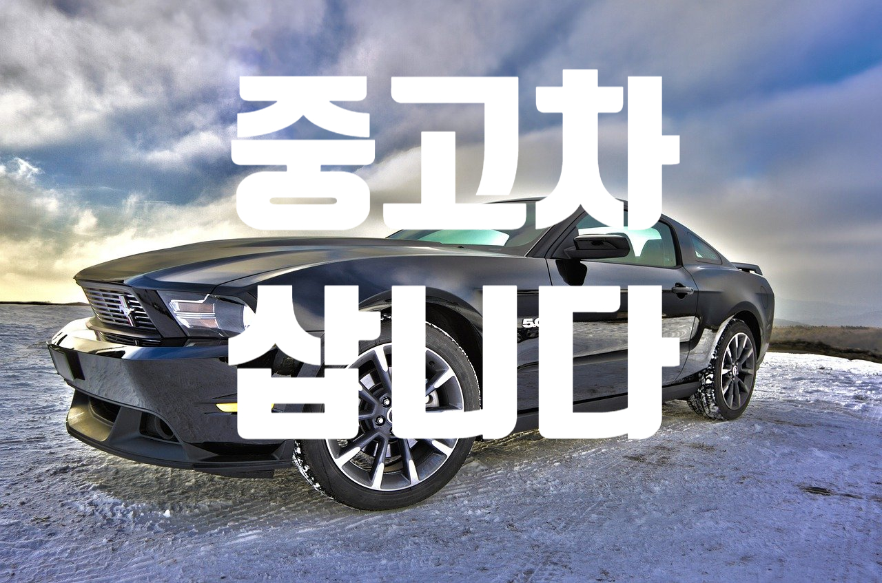 자동차수출무역 자동차최고가삽니다 대표 이미지