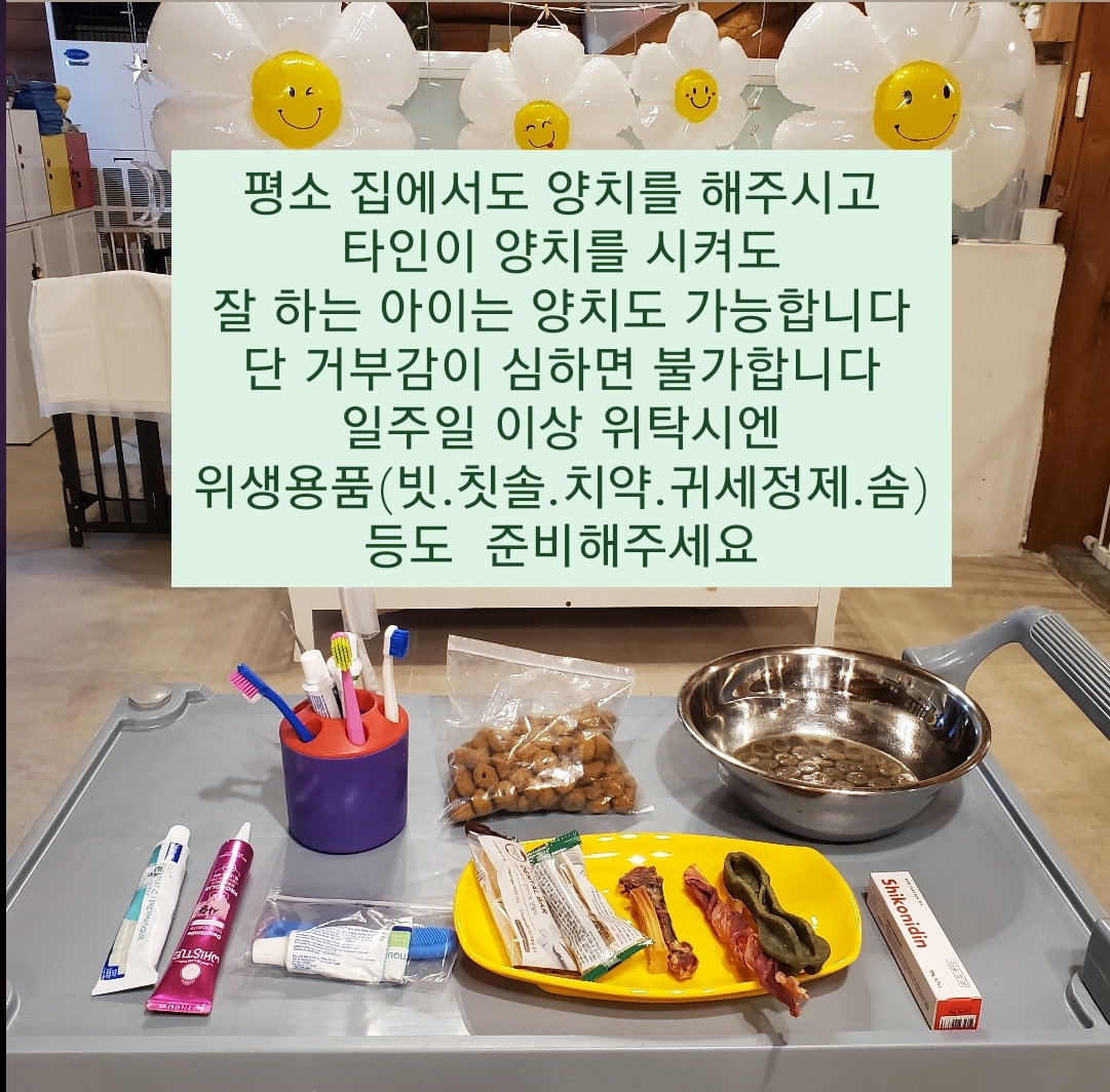 애견호텔 중독 대표 이미지