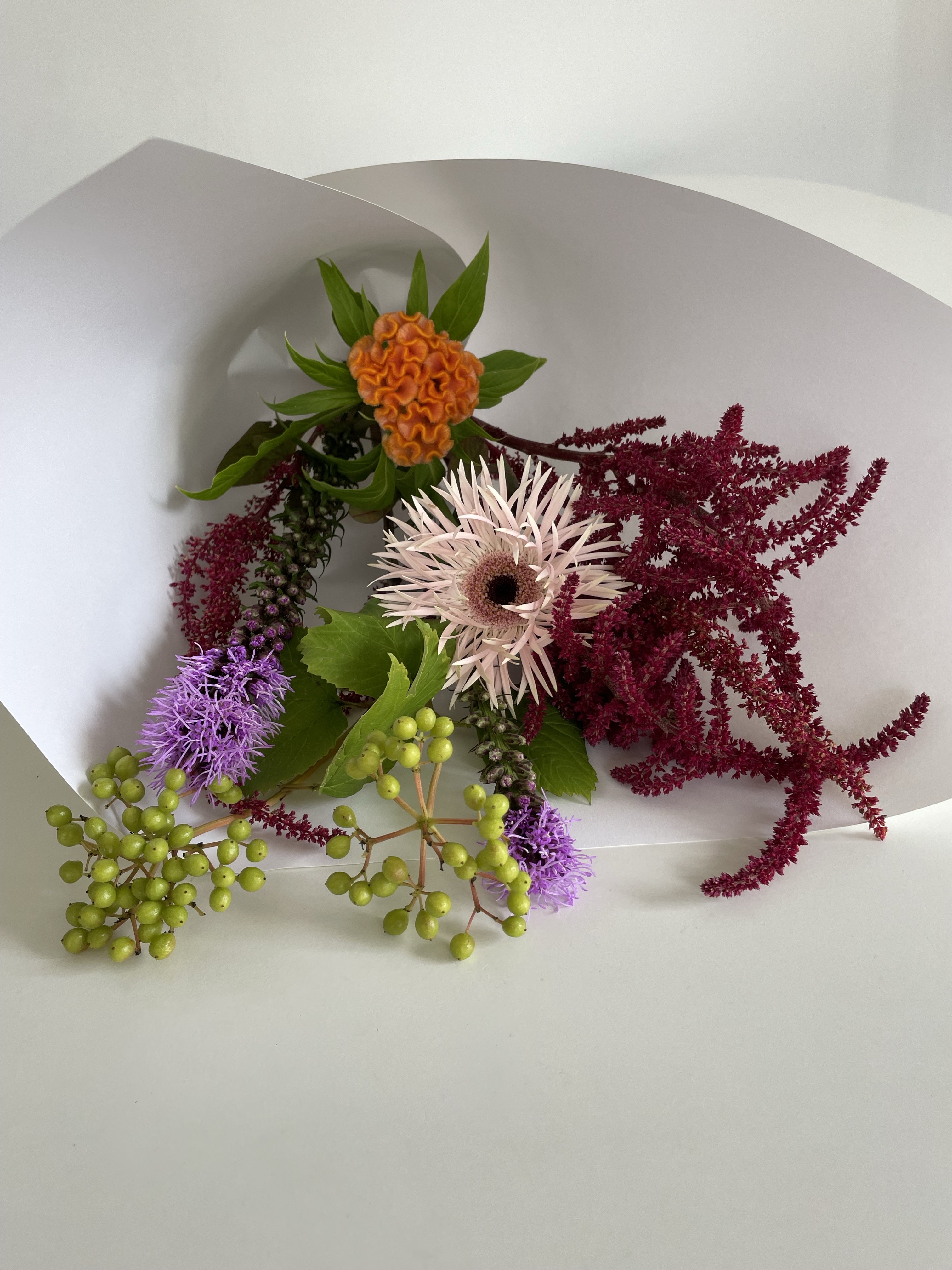 더소프터사이드 대표 이미지