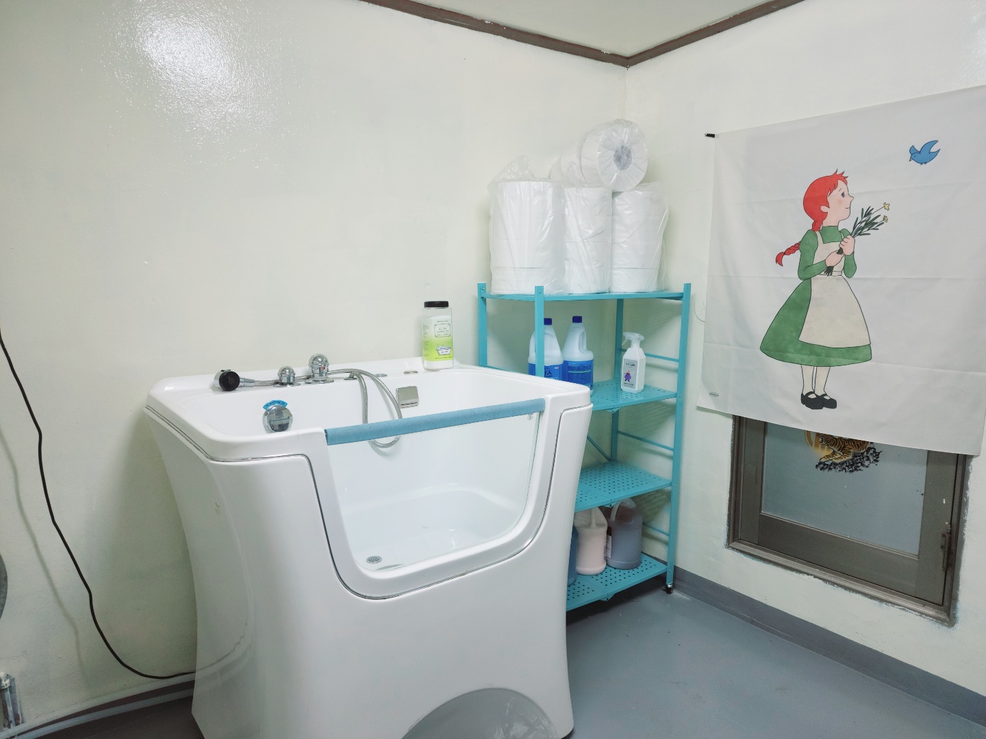 이쁘개 대표 이미지