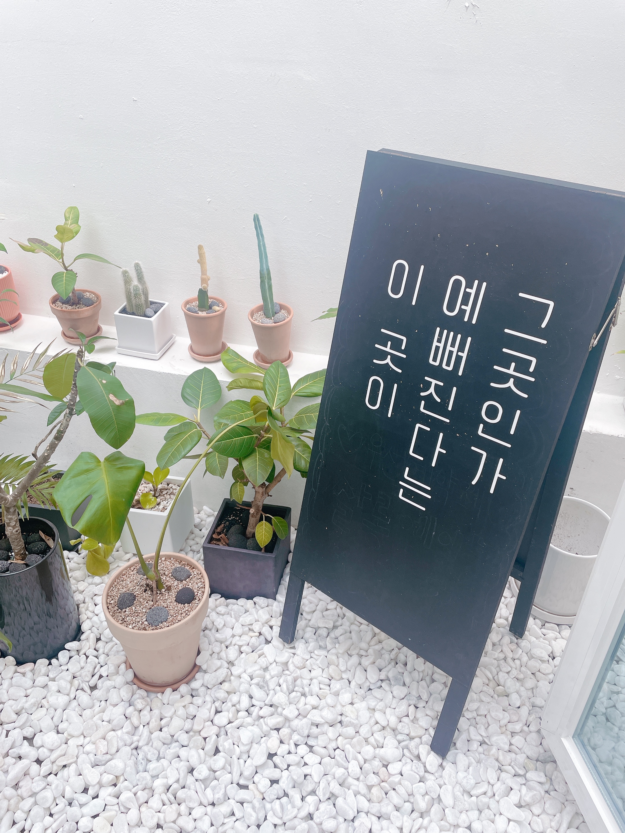 살롱에이블
