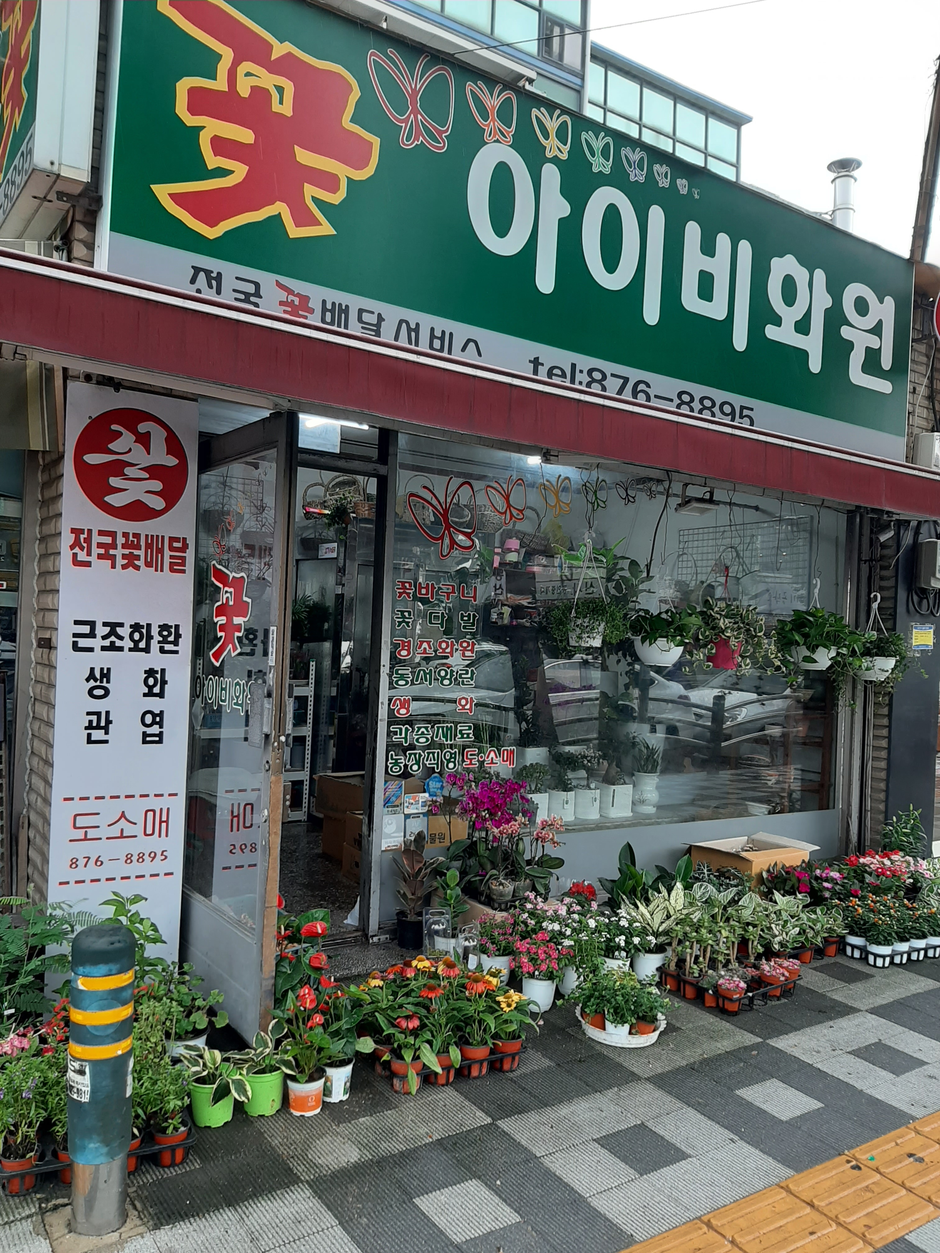 아이비화원