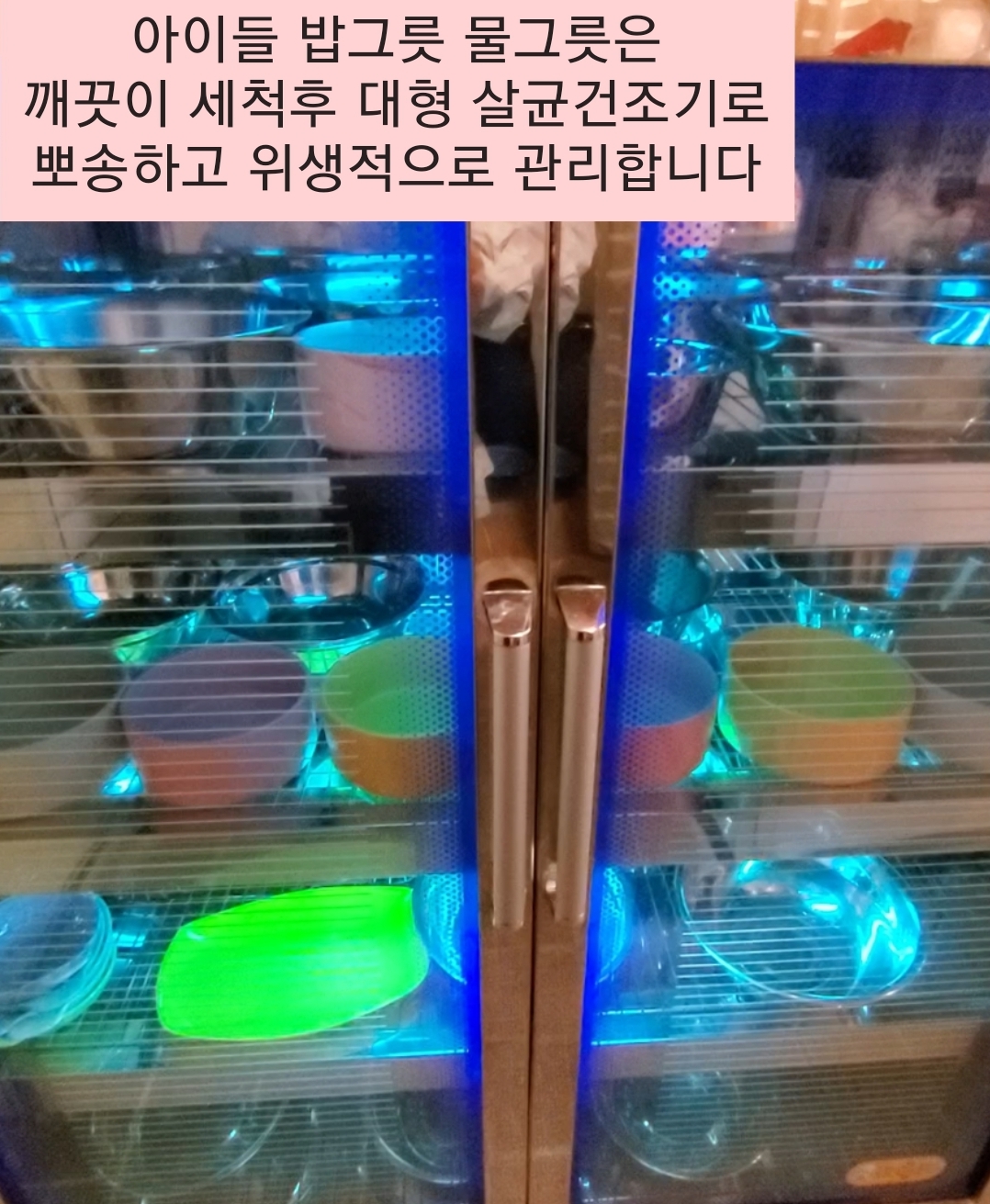 애견호텔 중독 대표 이미지