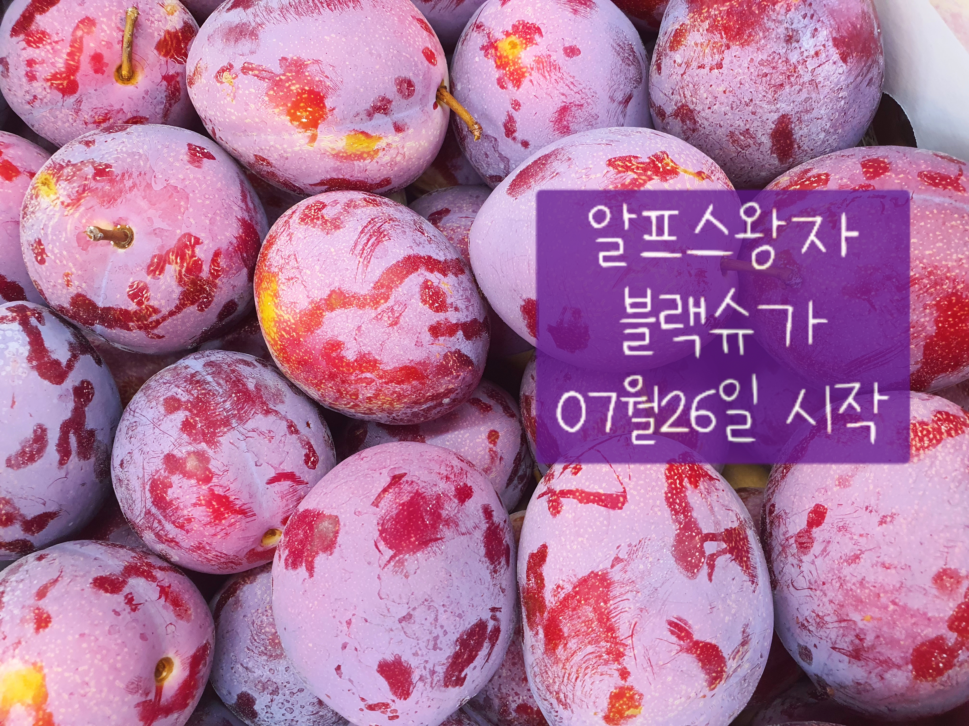 참사과봉숙이네