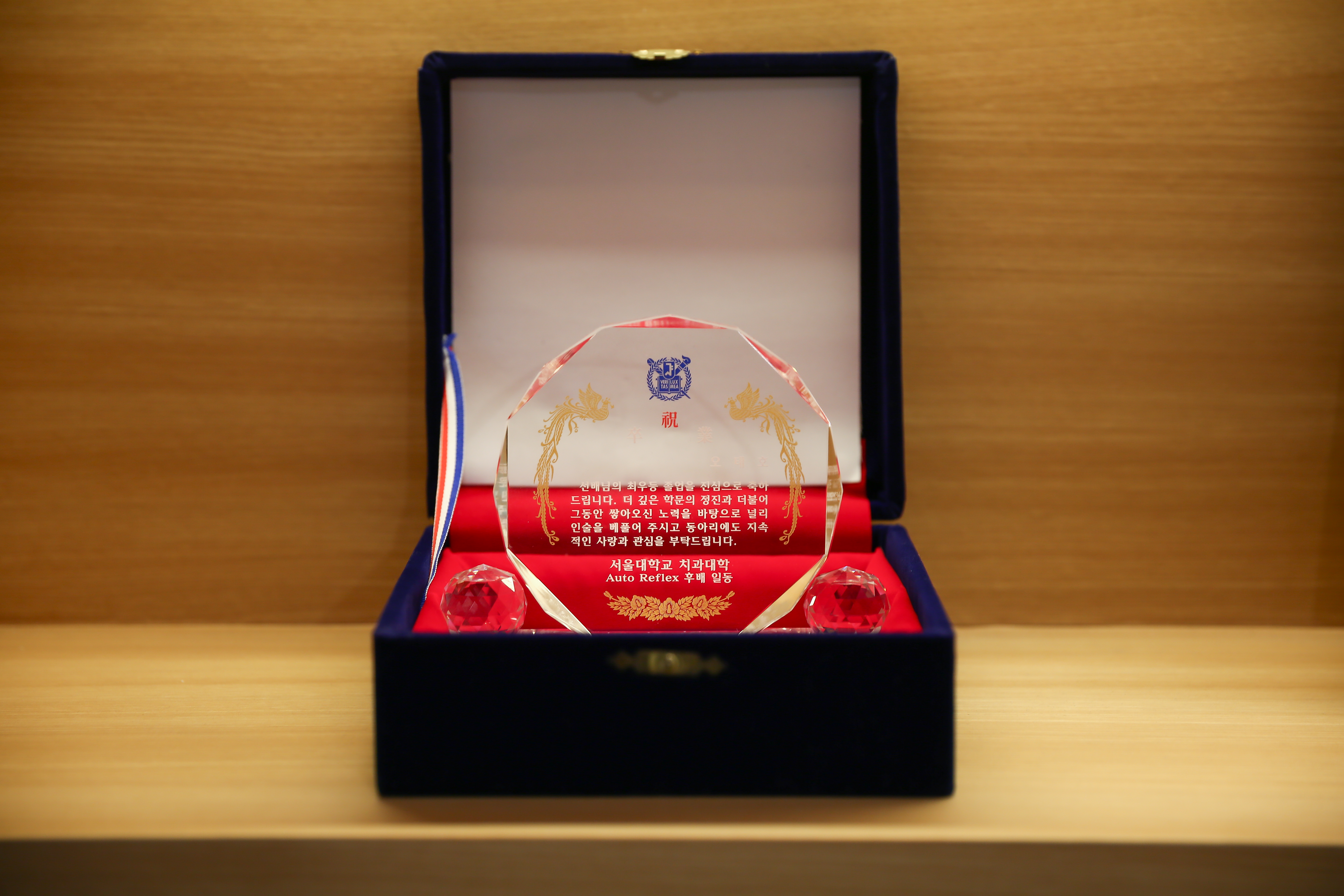 바른임플치과의원 노원점 대표 이미지