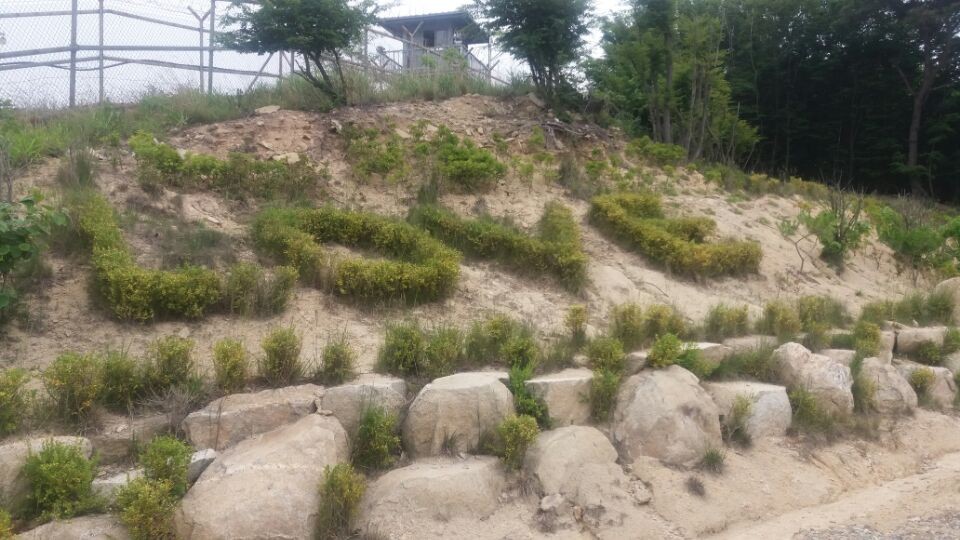 검디관광농원 캠핑장
