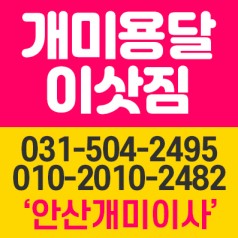 개미이사할인익스프레스 대표 이미지