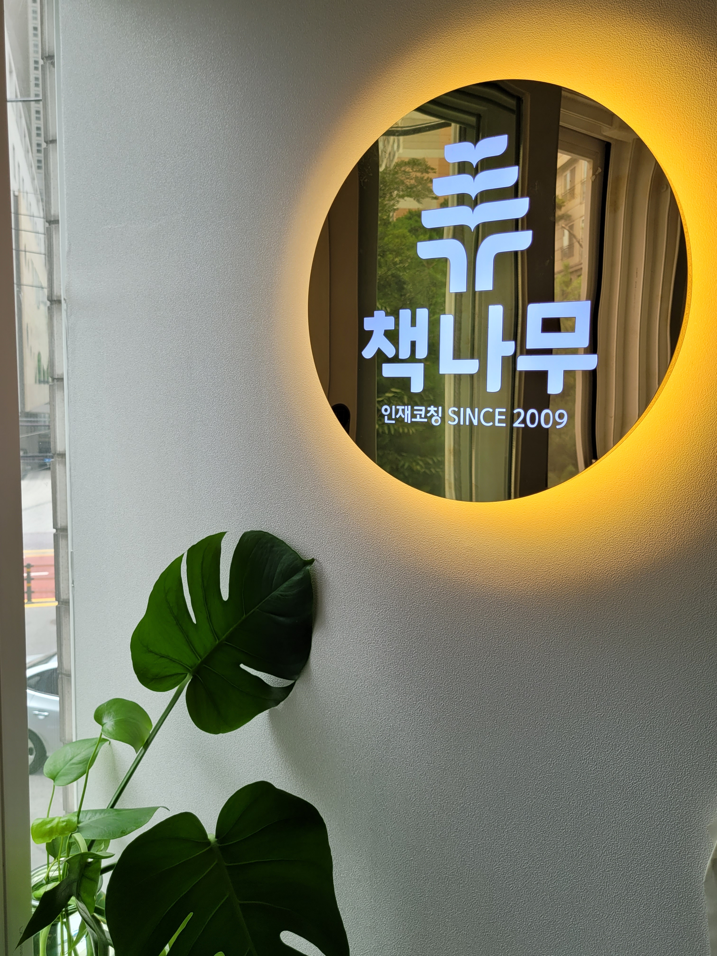 책나무 남가좌점