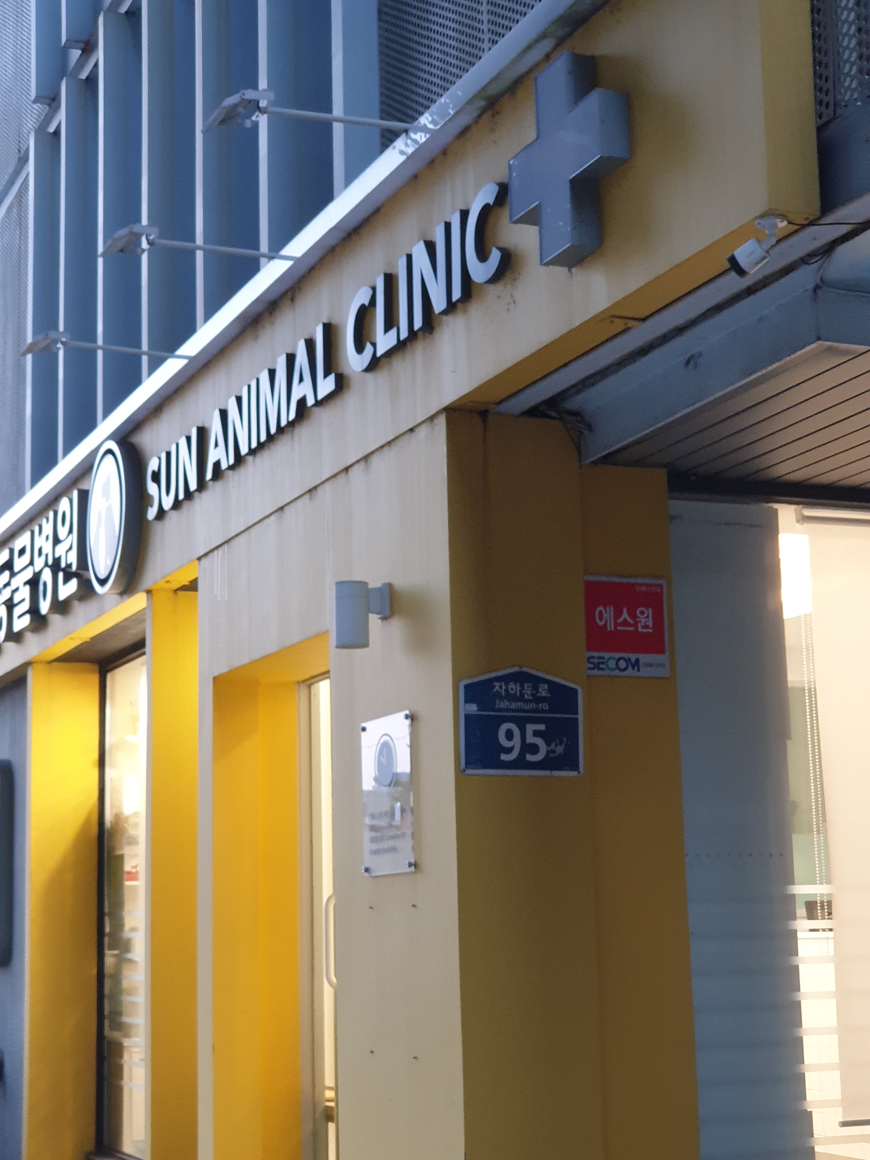 선동물병원 대표 이미지