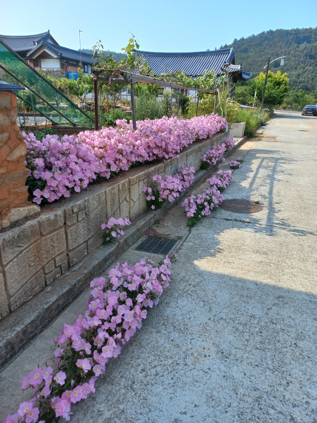 약산임목수 한옥펜션민박