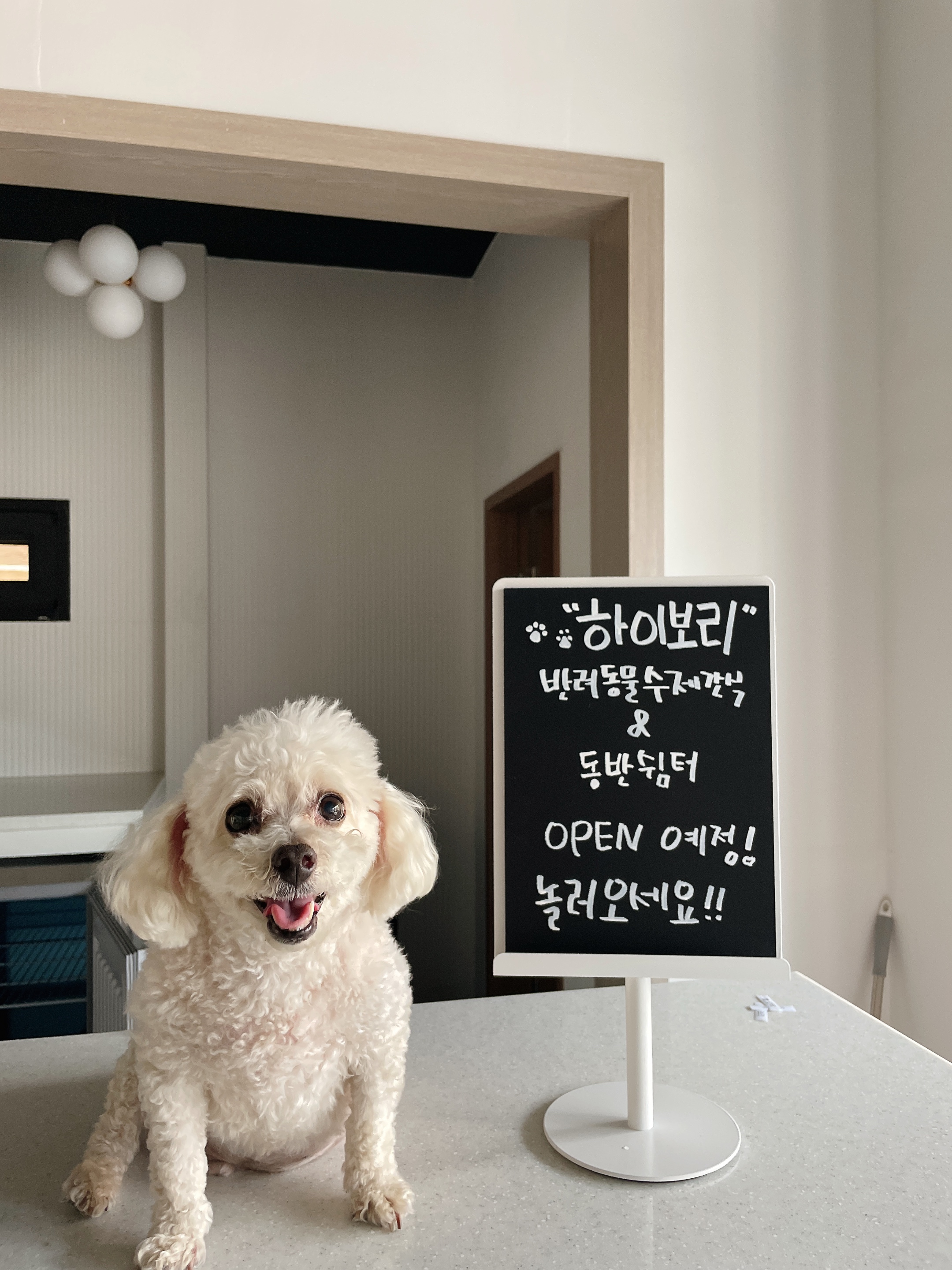 하이보리 사진 3
