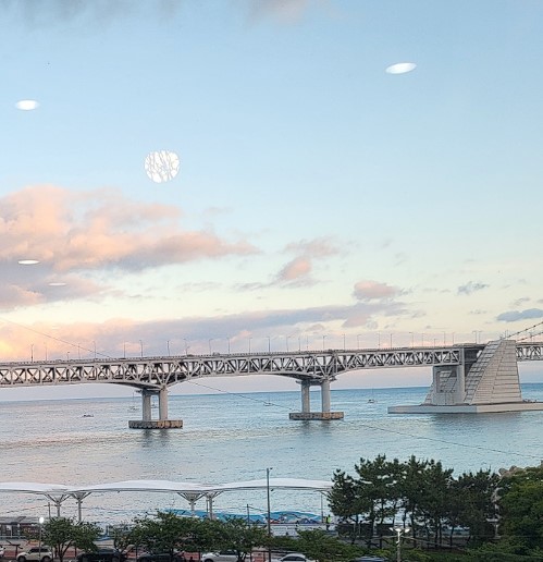 광안리해린횟집