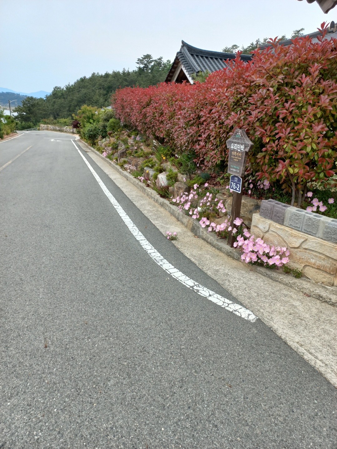 약산임목수 한옥펜션민박