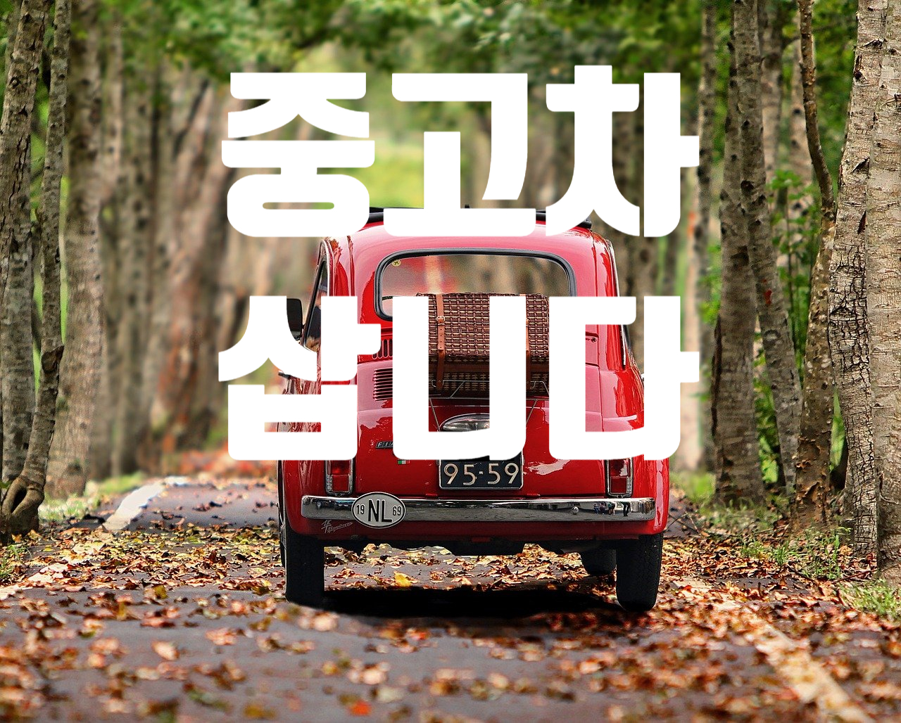 자동차수출무역 진모터스 대표 이미지